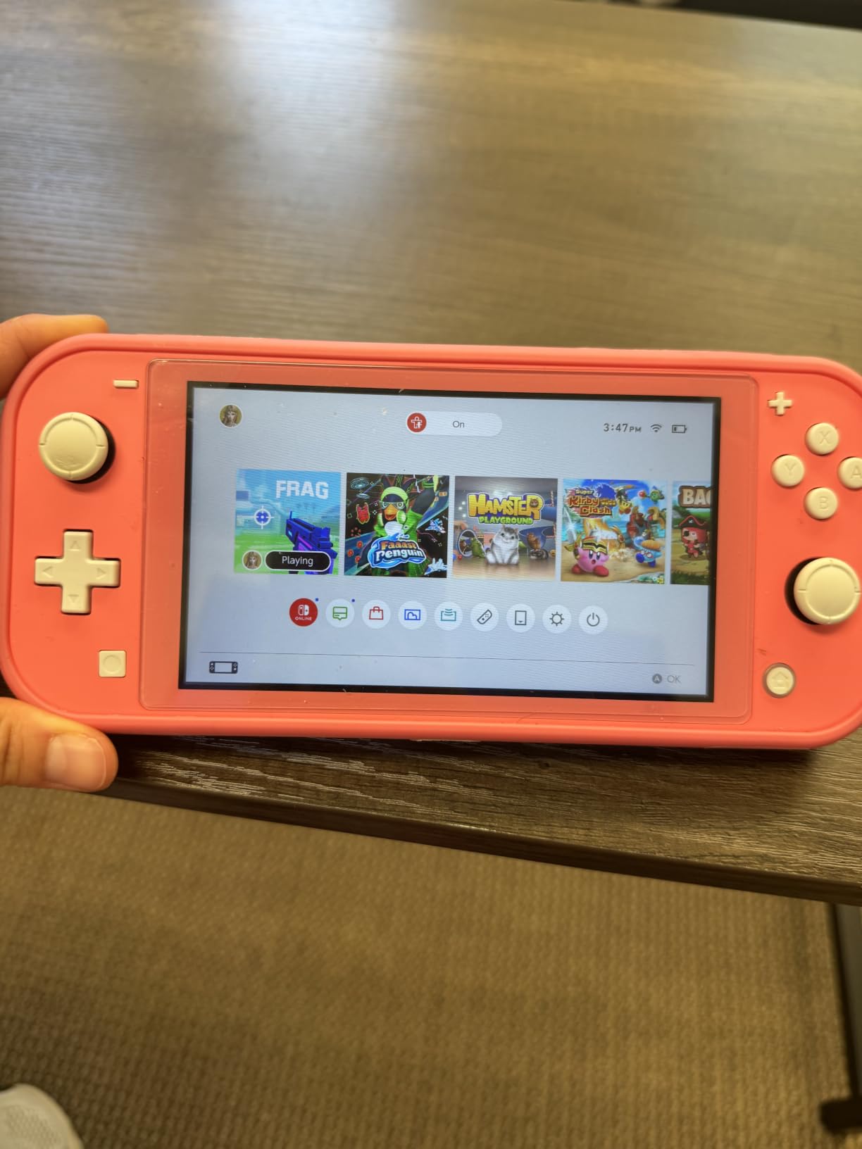 Nintendo Switch Lite - Turquoise customer photo 1