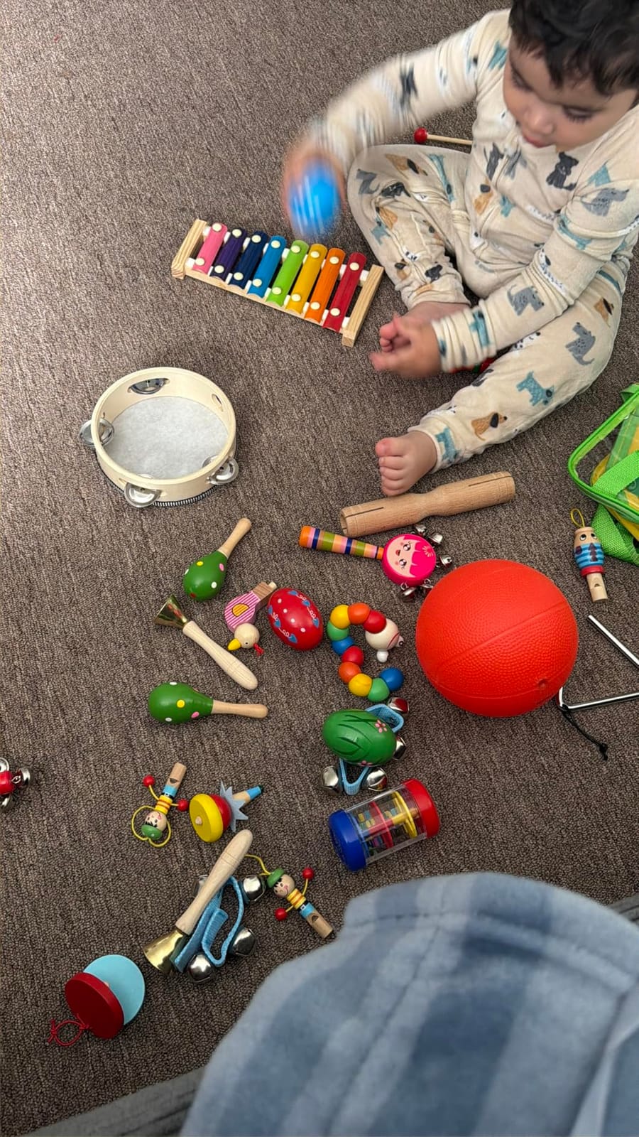 Kids Musical Instruments, 33Pcs 18 Types Wooden Percussion Instruments Tambourine Xylophone Toys for Kids Children, Preschool Education Early Learning Musical Toy for Boys and Girls customer photo 1