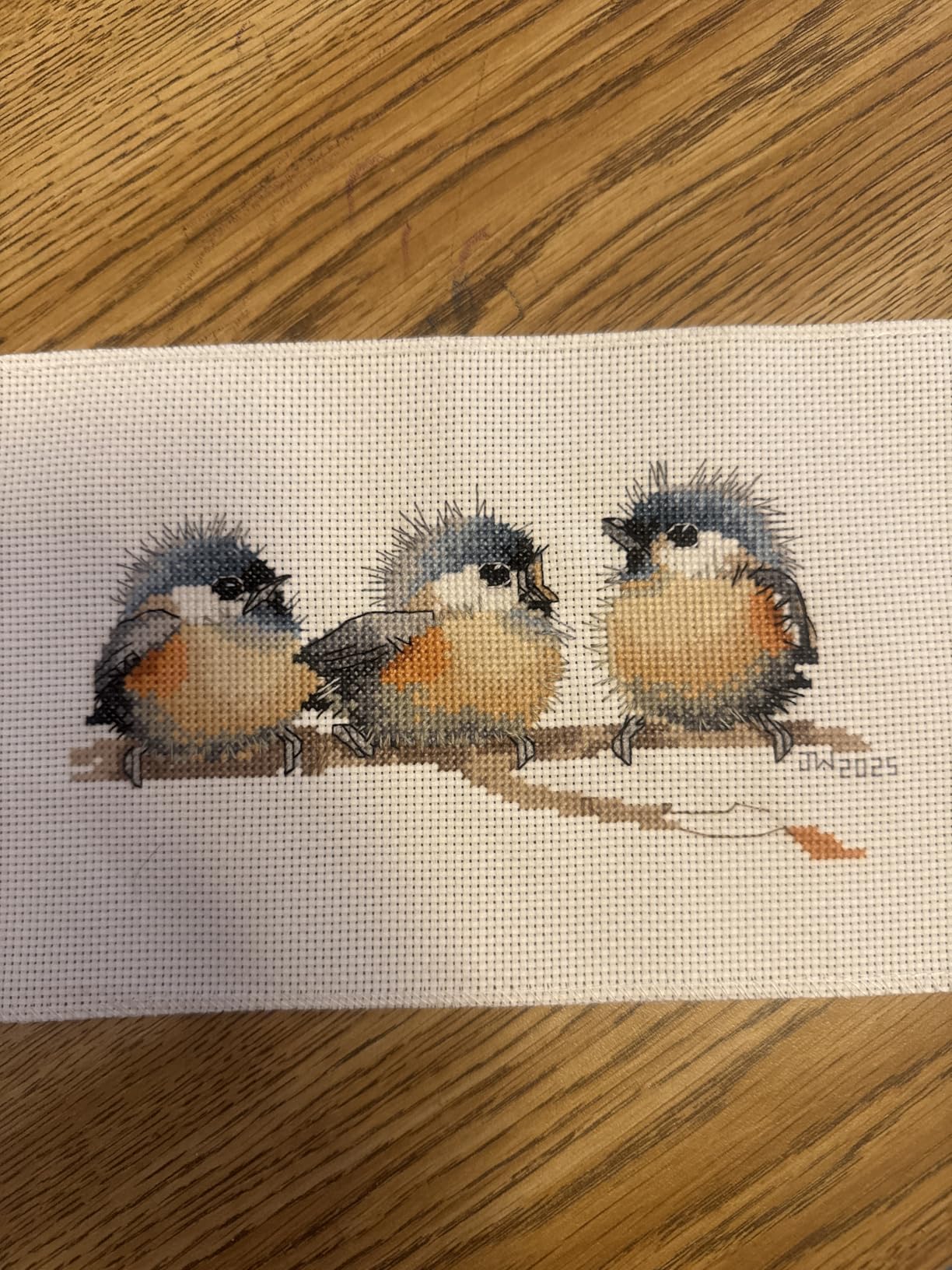 Cross Stitch Kits, Three Birds Awesocrafts Easy Patterns Cross Stitching Embroidery Kit Supplies Christmas Gifts, Stamped or Counted (Birds, Counted) customer photo 1