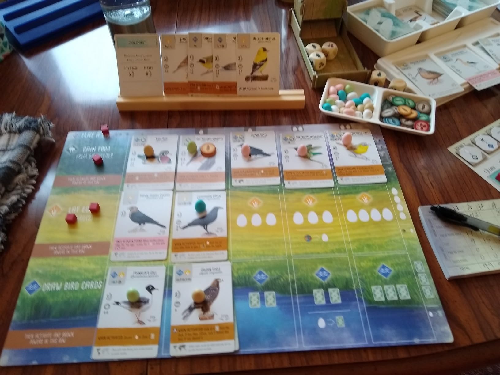 Stonemaier Games: Wingspan by Elizabeth Hargrave customer photo 1