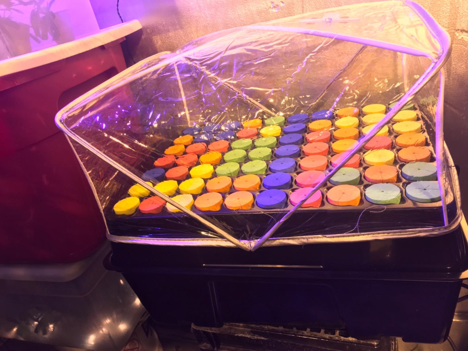 Psycloner Pro Clone Machine, Aeroponics System, Cloner for Plant Cuttings, Propagation + Bonus (140 Site) customer photo 1