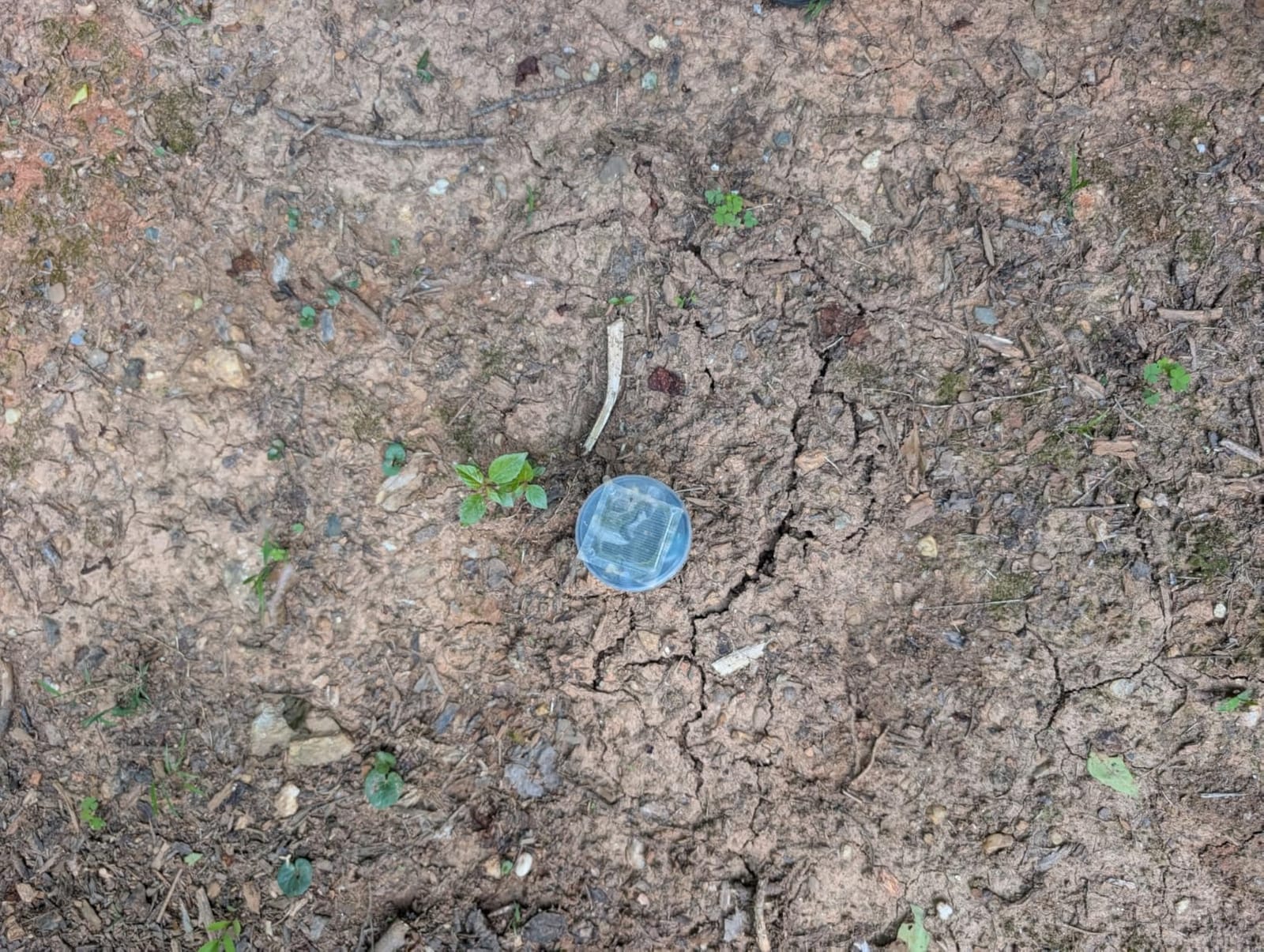 Gopher Repellent Ultrasonic Solar Powered - Mole Repellent Stakes Outdoor Pet Safe - Groundhog Repeller Snake Rodent Gopher Spikes Chaser - Sonic Mole Deterrent Devices (4) customer photo 1