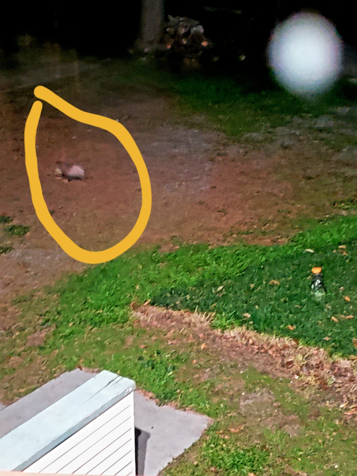 Gopher Repellent Ultrasonic Solar Powered - Mole Repellent Stakes Outdoor Pet Safe - Groundhog Repeller Snake Rodent Gopher Spikes Chaser - Sonic Mole Deterrent Devices (4) customer photo 2