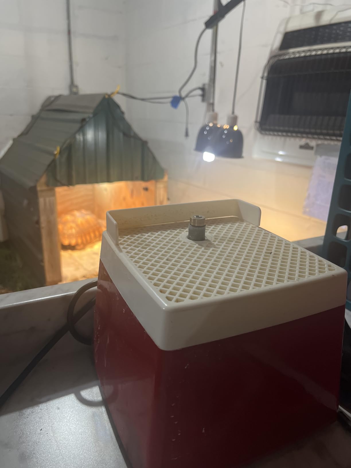 Podoy Stained Glass Grinder 4200RPM, Mini Glass Grinding Machine with Bits customer photo 1