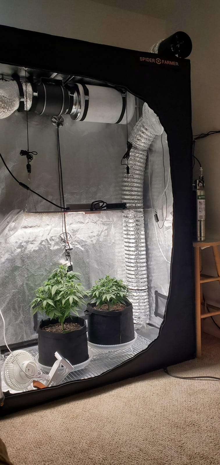 Spider Farmer 2x4 SF2000 200W Complete Grow Tent Kit with GGS Auto Control customer photo 1