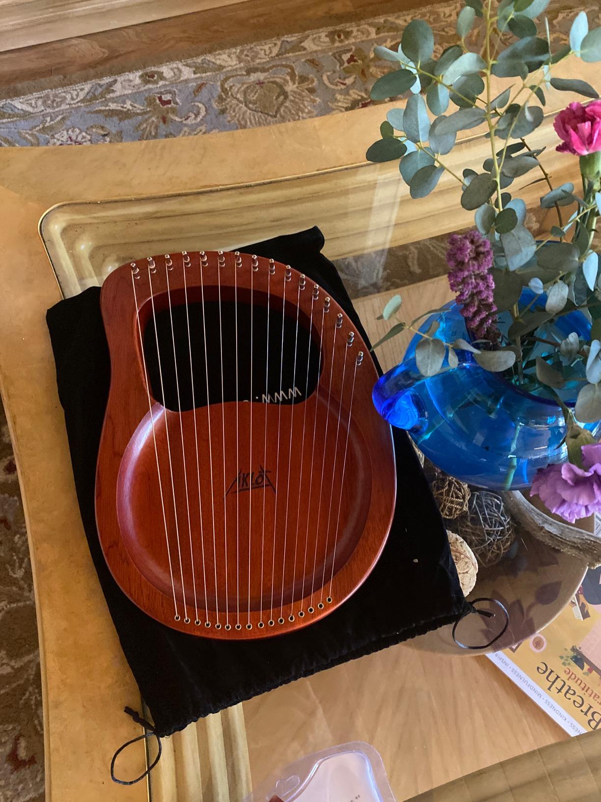 Lyre Harp, AKLOT 16 Metal Strings Mahogany Body Lyra Harp with Maple Saddle Carved Note Tuning Wrench Pickup Strings and Black Gig Bag customer photo 2