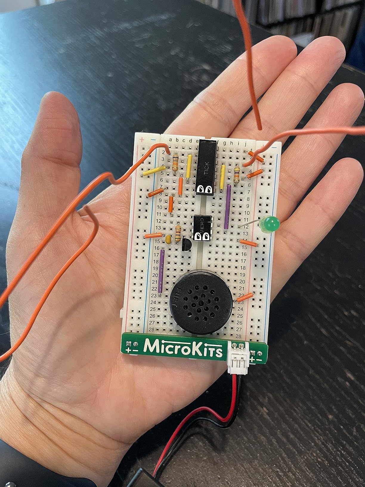 MicroKits Theremin Electronics Kit: Make Your Own Electric Field Instrument customer photo 2
