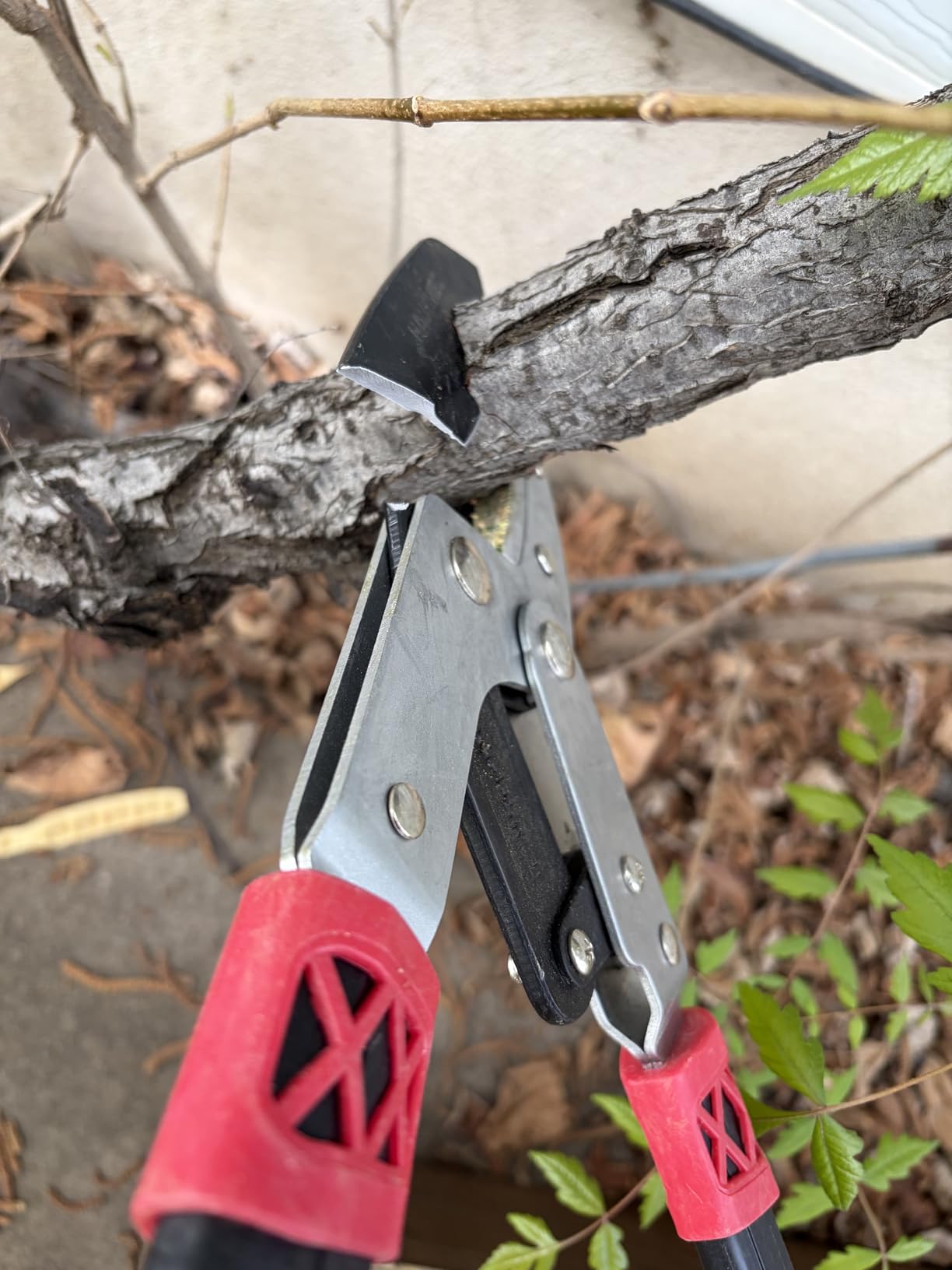 HAUTMEC Anvil Loppers for Tree Trimming Heavy Duty, Extendable 27-37'' Garden Loppers with Compound Action System, 2