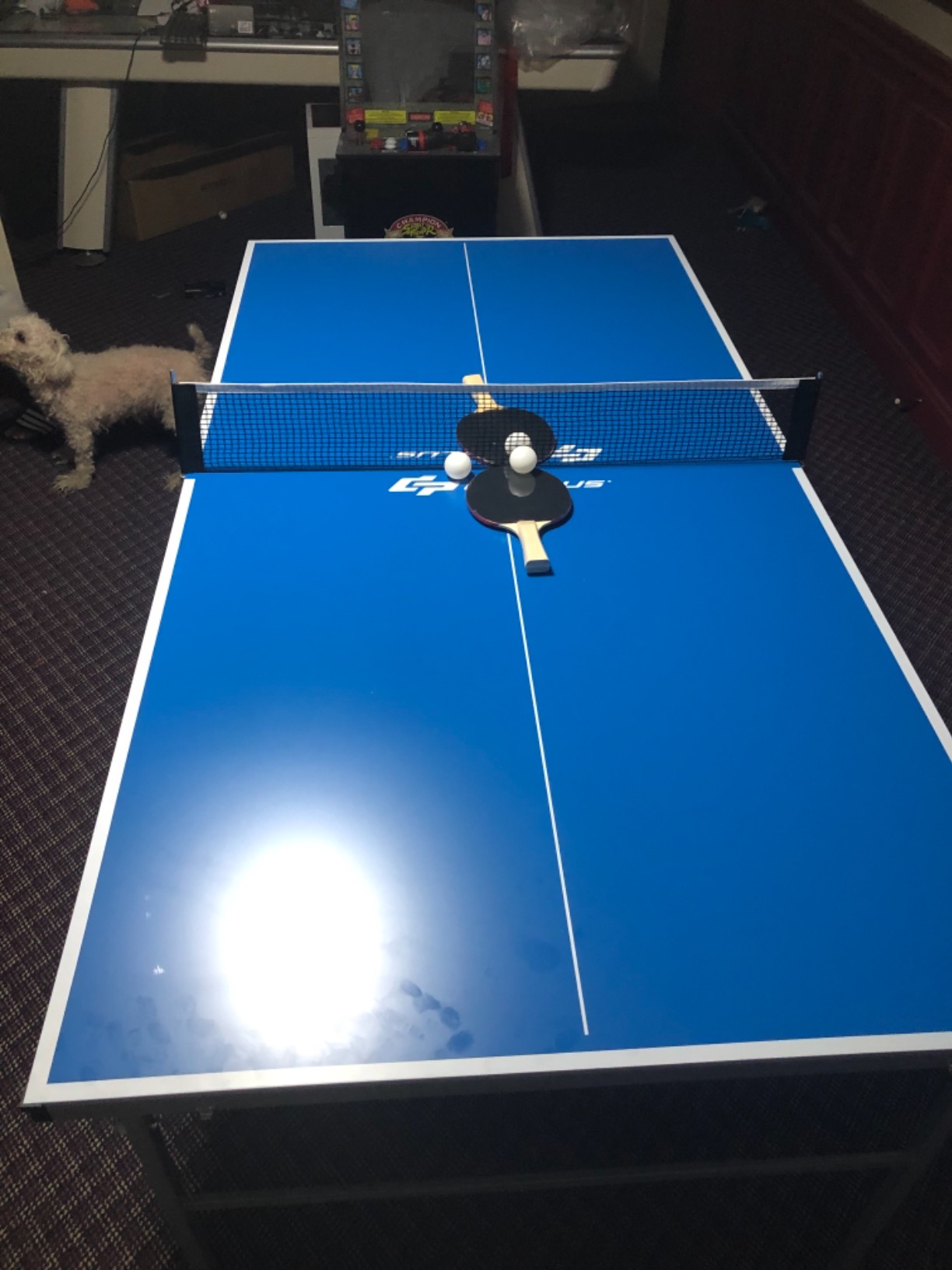 Goplus Foldable Ping Pong Table, 100% Preassembled, Table Tennis Table with Net, 2 Paddles, Ping Pong Balls, Portable Table Tennis Game Set for Indoor Outdoor customer photo 1