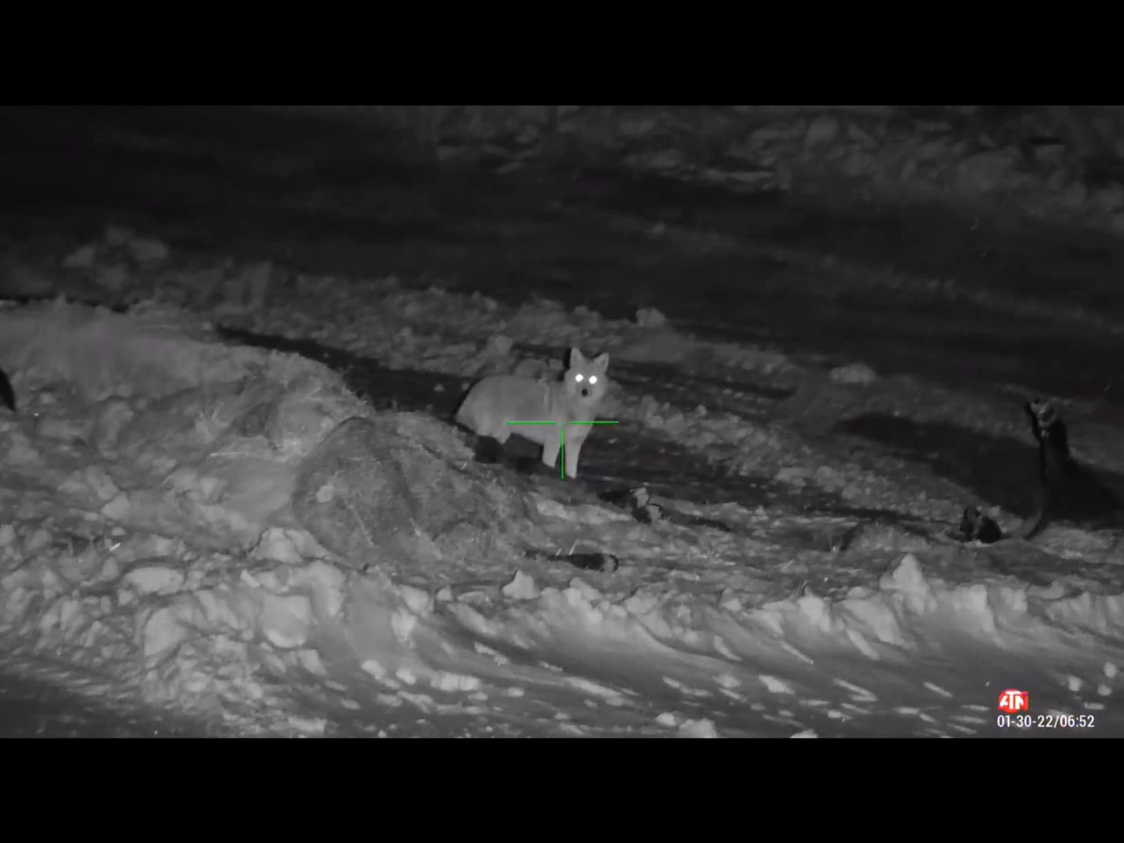 ATN Night Vision Scope - Ultra Sensitive Night Vision Sensor, HD Display - Premium Night Vision Scope for Precision and Clarity in Low-Light Conditions customer photo 2