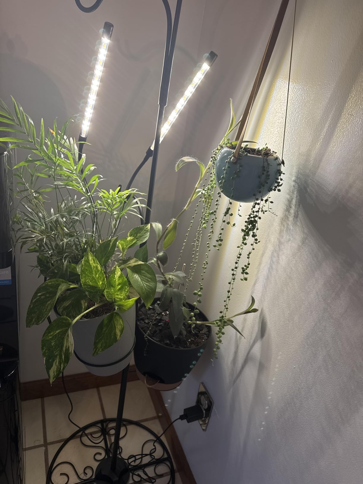 bseah Grow Light Plant Lights for Indoor Plants, Full Spectrum Plant Grow Lamp, 10 Dimmable Levels, Auto ON & Off with 3/9/12H Timer customer photo 2