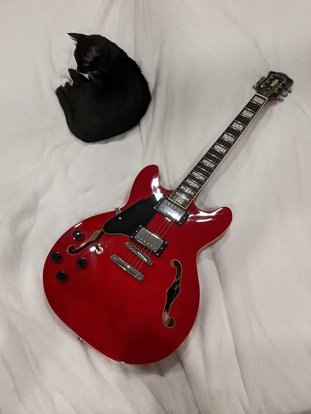 Grote Full Scale Left-Handed Electric Guitar Semi-Hollow Body Guitar Stainless Steel Frets(Cherry red) customer photo 1