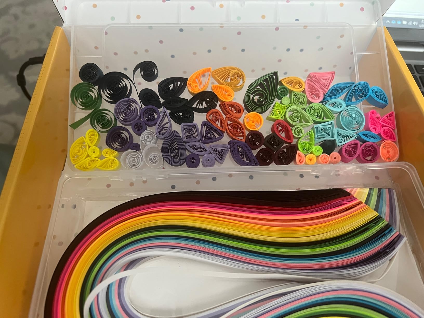 MY CREATIVE CAMP Beginner's Quilling Kit for Kids and Adults, DIY Craft Kit for Kids and Adults, Paper Quilling Kit for Beginners with Tools, Instructions & Storage Box, Makes 10+ Fun Projects customer photo 2