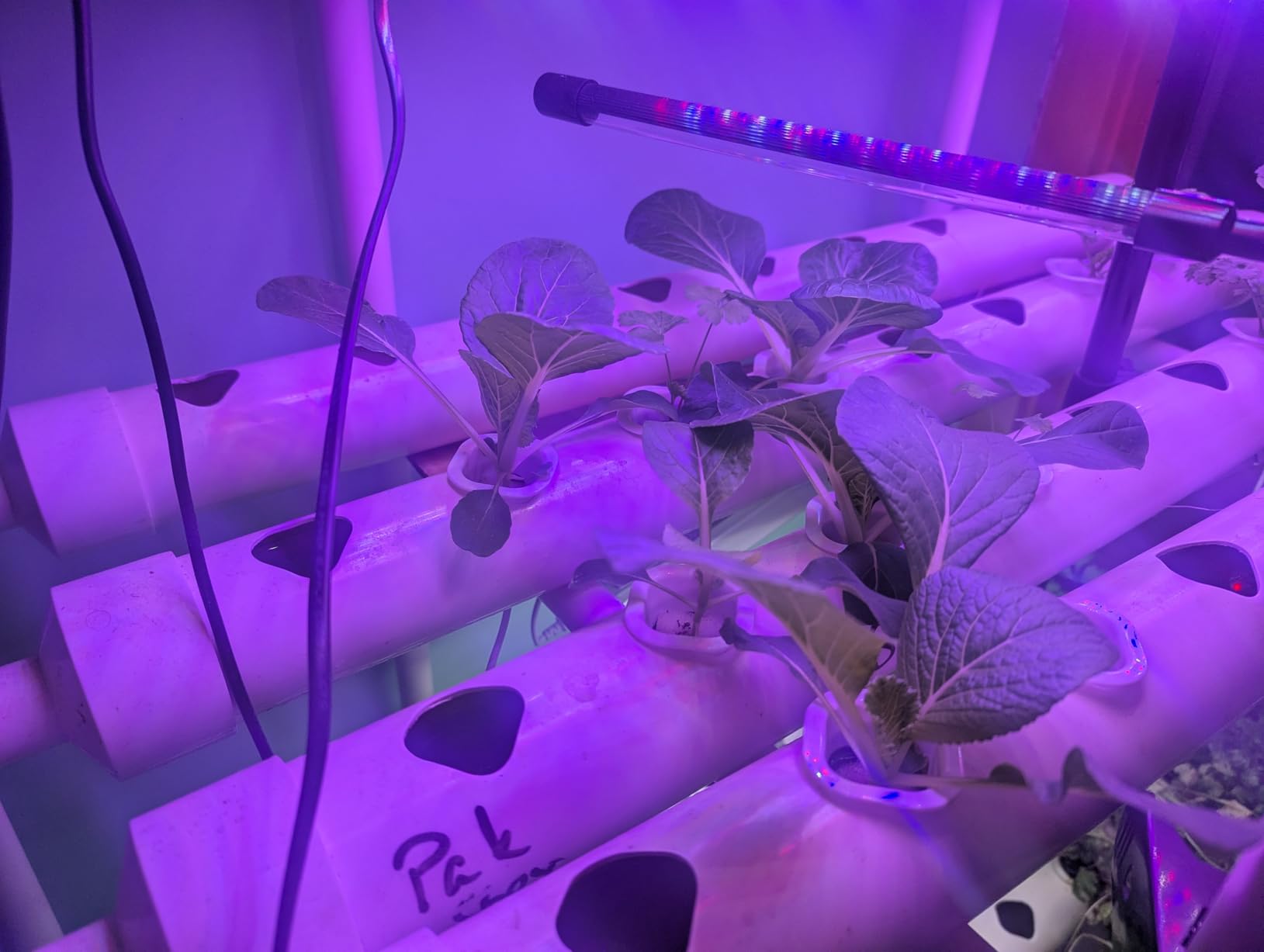 Hydroponics Growing System Kit 72 Plant Sites 4 Layers Food-Grade PVC-U Pipes Hydroponic Grow Kit Gardening System with Water Pump, Timer,Net Pots and Sponge for Vegetables,Fruits,Herb customer photo 1
