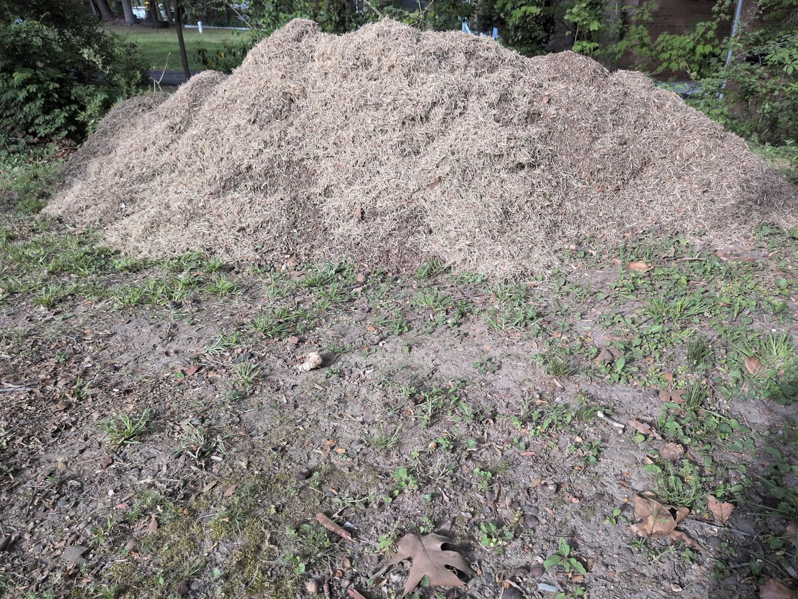 Sun Joe 15-Inch Lawn Dethatcher with Scarifier Blade Reel, AJ805E customer photo 2