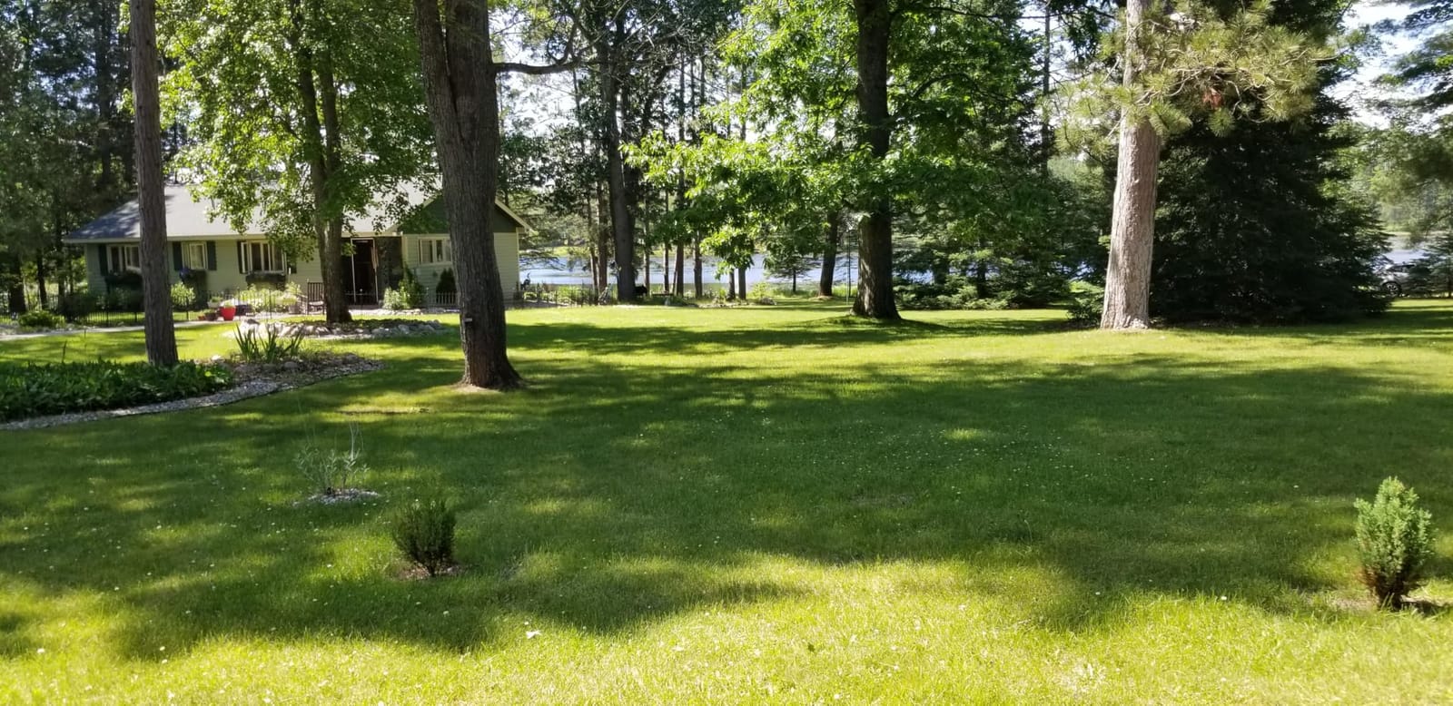 EGO Power+ String Trimmer, Battery Powered, 15