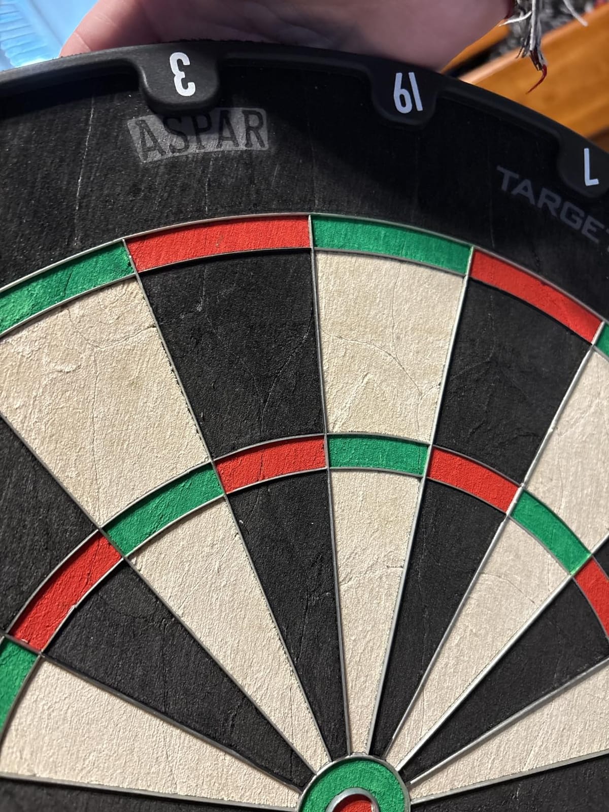 Target Darts Aspar Dart Board | Steel Tip Dartboard with Self Recovering Sisal Bristles & Rotational Score Ring | Thin Wire Regulation Competition Size Dart Board Set | Professional Darts Accessories customer photo 2