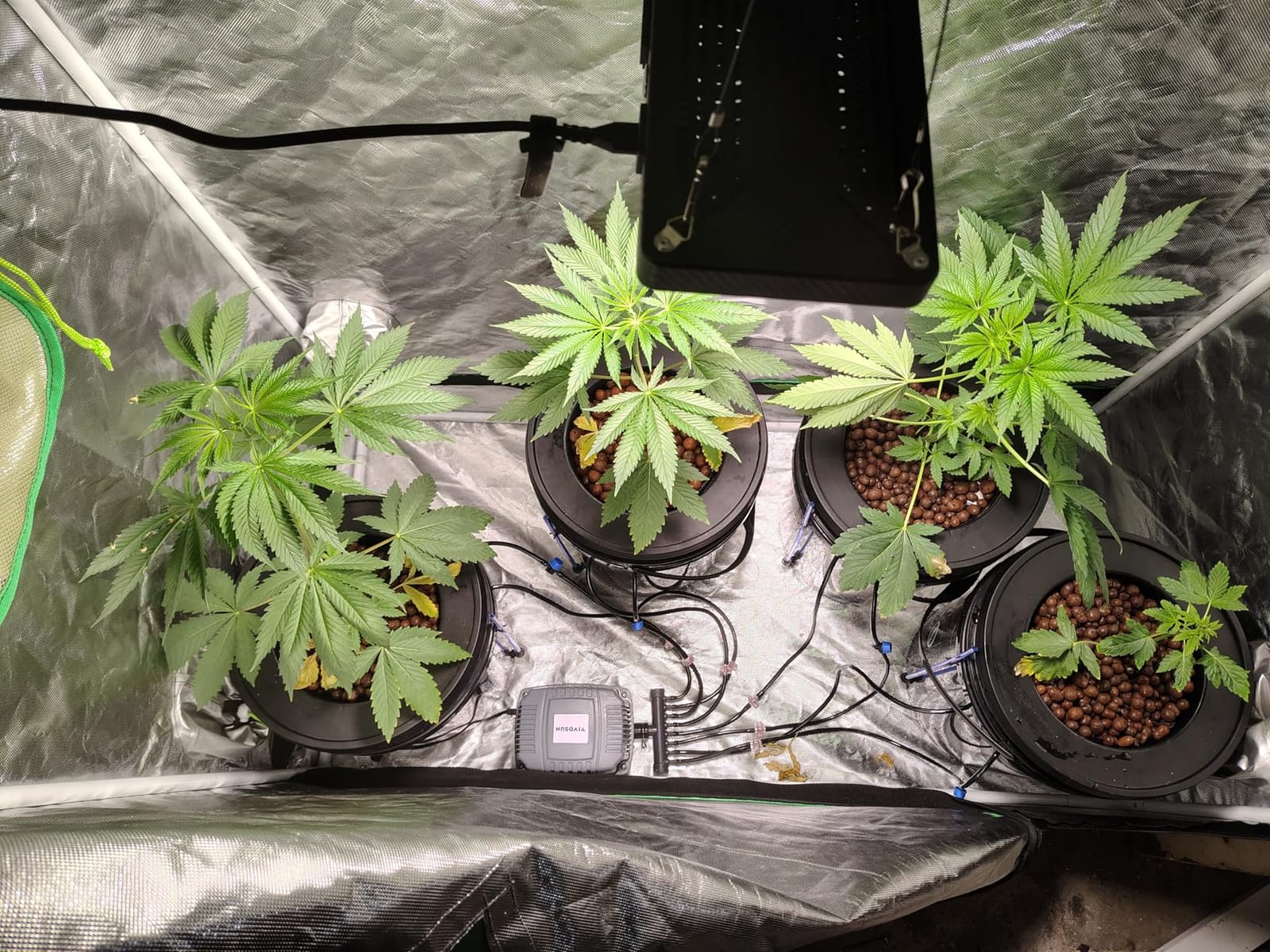 VIVOSUN DWC Hydroponics Grow System with Top Drip Kit 4 Buckets customer photo 2