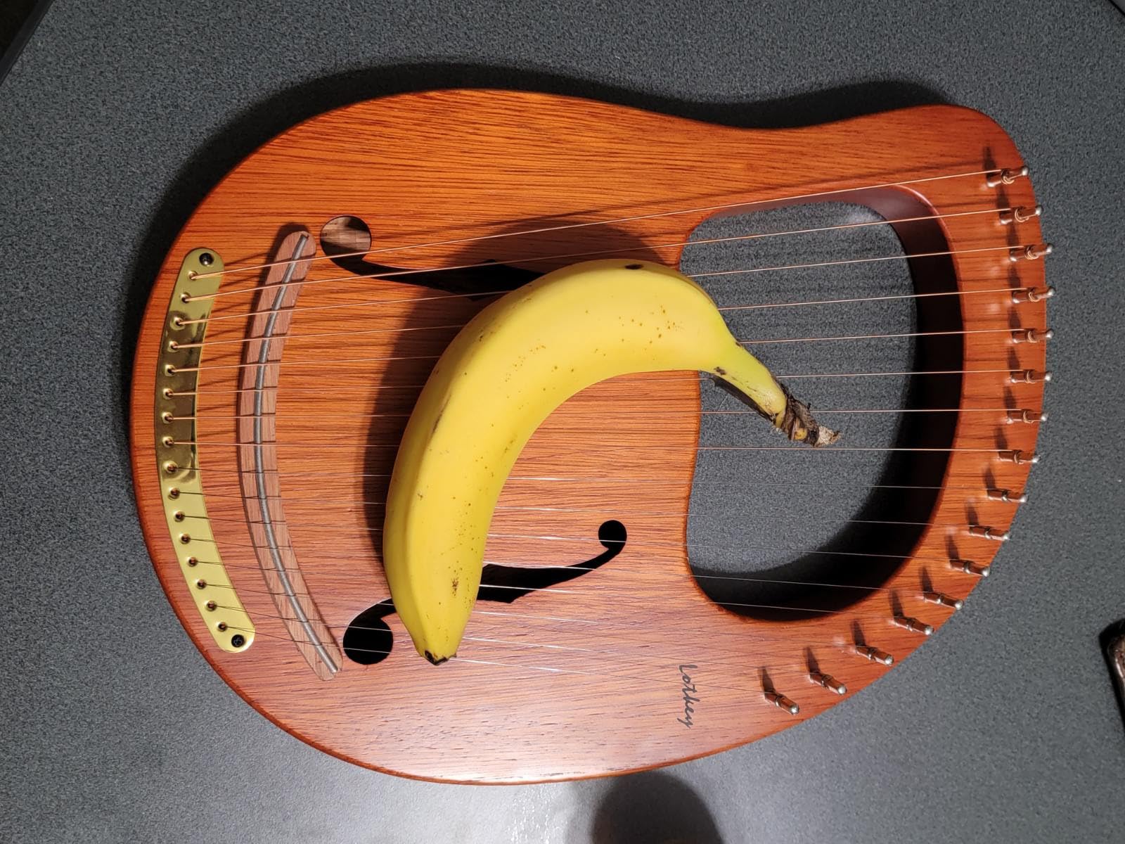 Lotkey Lyre Harp,16 Metal Strings Iron Saddle Mahogany Lyre Harp with Tunning Wrench, Extract Strings, Manual and Gig Bag customer photo 2