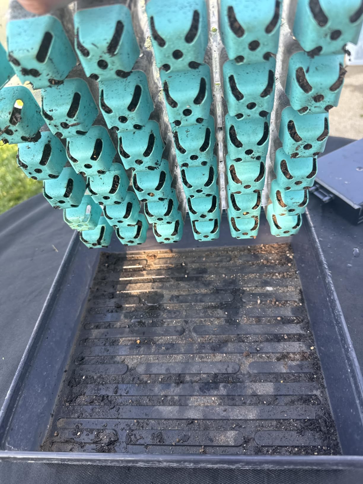 Burpee SuperSeed 36-Cell Reusable Seed Starting Tray for Indoor Seedlings customer photo 2