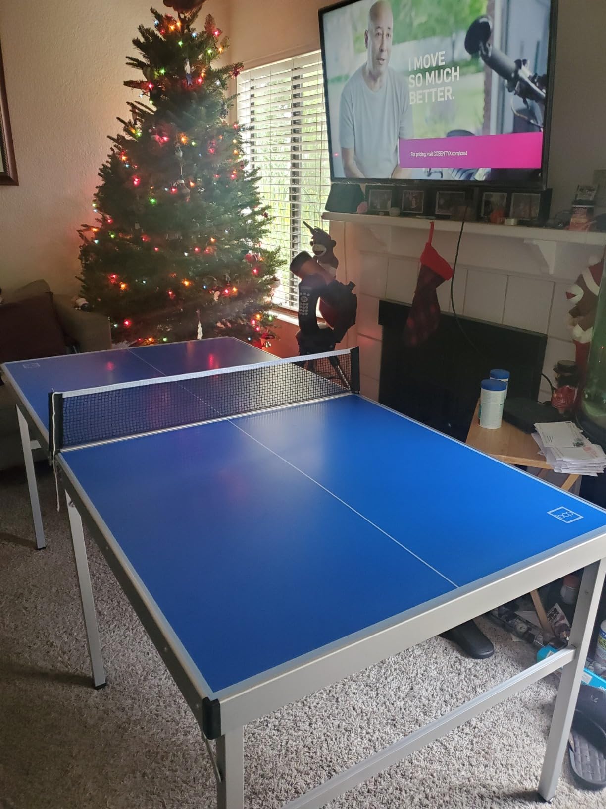Best Choice Products Portable Ping Pong Table, Mid-Size Folding Indoor Outdoor Table Tennis w/ 2 Paddles, 4 Balls Included, Carrying Bag customer photo 1