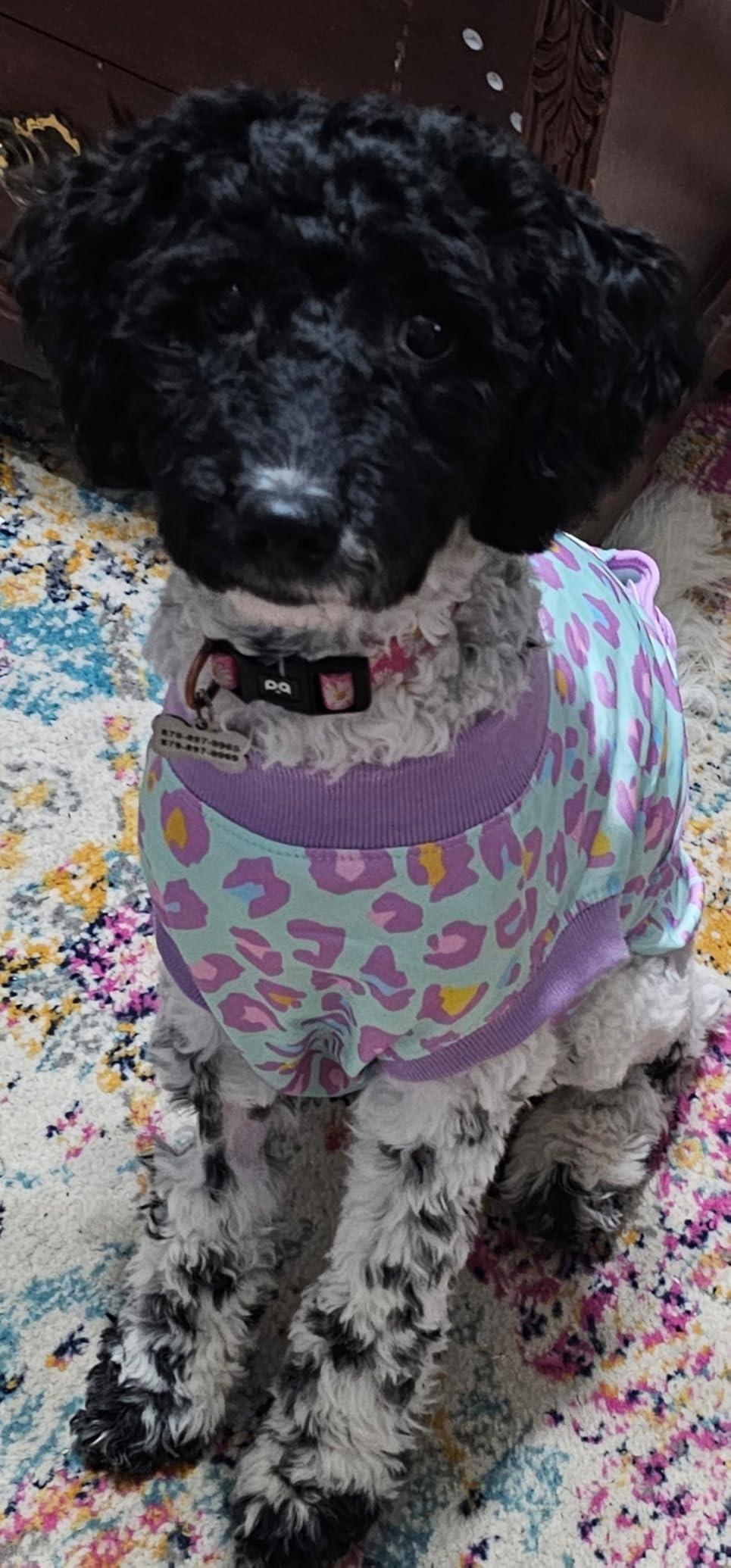 Kuoser Dog Recovery Suit After Surgery, Spay Neuter Surgical Suit for Dogs customer photo 2
