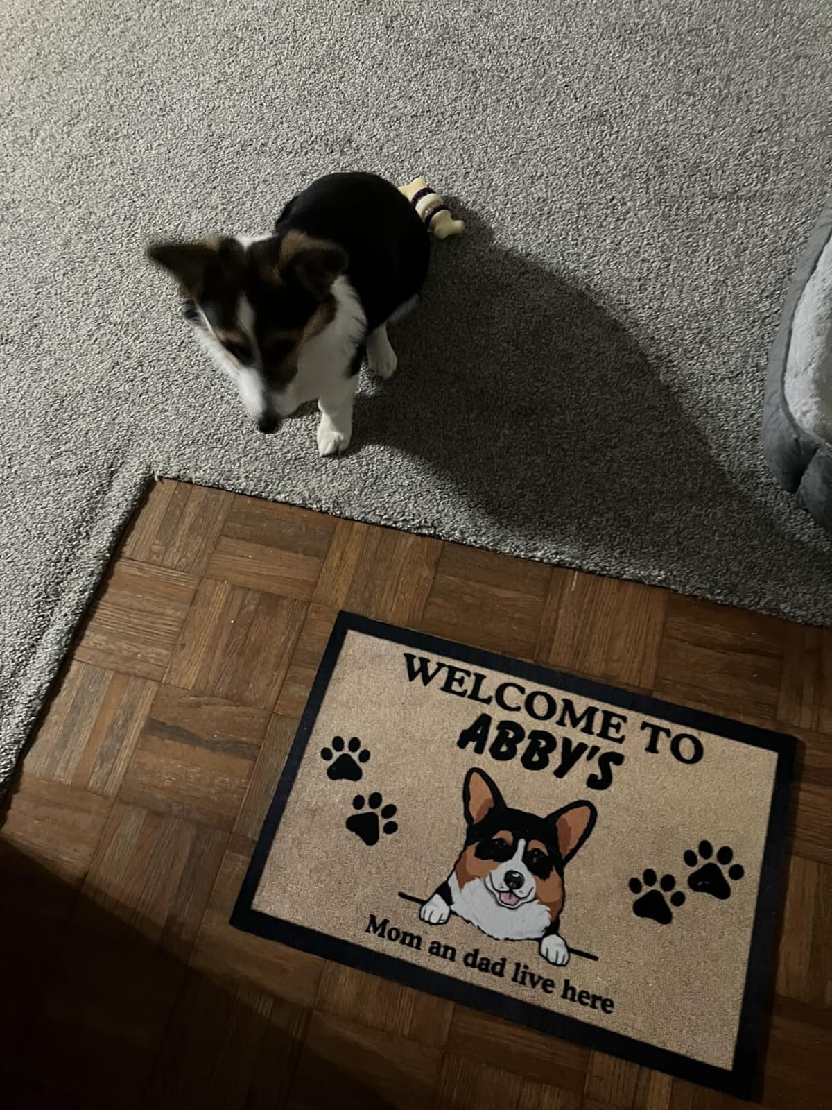 Personalized Dog Doormat - Custom Funny Pet Welcome Mat, Unique Dogs Breeds Names, Dog Owner Lives Here Too, Non-Slip Rubber Grip Rug, Indoor Outdoor, USA Made Gift, Fun Decoration for Pet Lovers customer photo 1