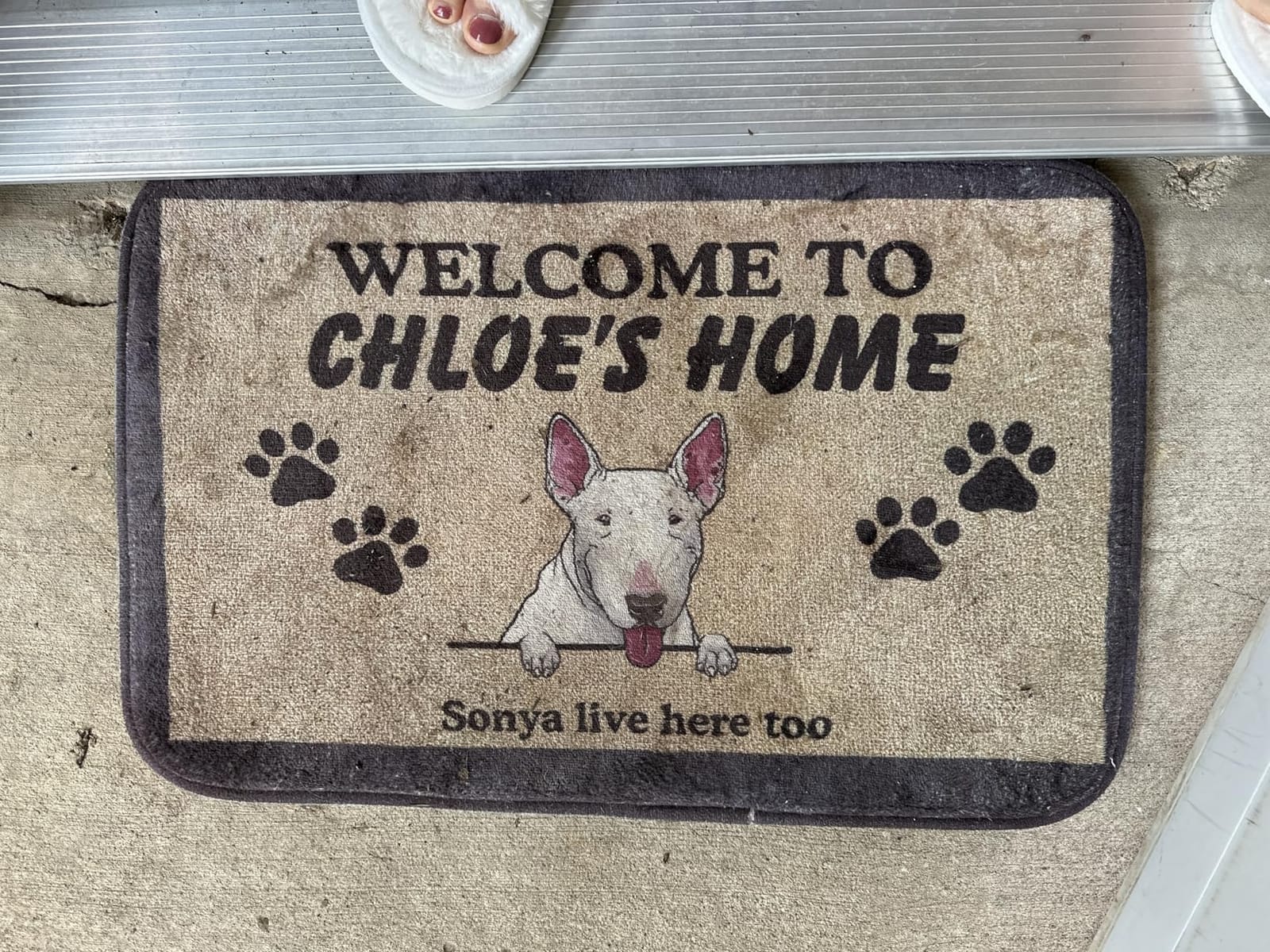 Personalized Dog Doormat - Custom Funny Pet Welcome Mat, Unique Dogs Breeds Names, Dog Owner Lives Here Too, Non-Slip Rubber Grip Rug, Indoor Outdoor, USA Made Gift, Fun Decoration for Pet Lovers customer photo 2