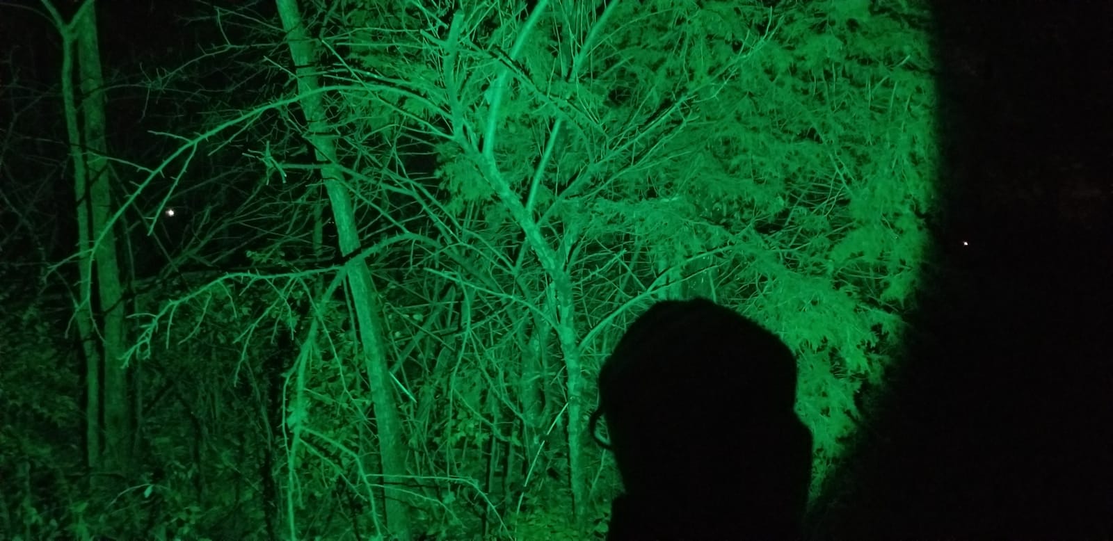 VASTFIRE USB-C Rechargeable Green Flashlight Zoomable 1000 Yard Pressure Switch Scope Rail Mount Hogs Predators Night Hunting (30) customer photo 2