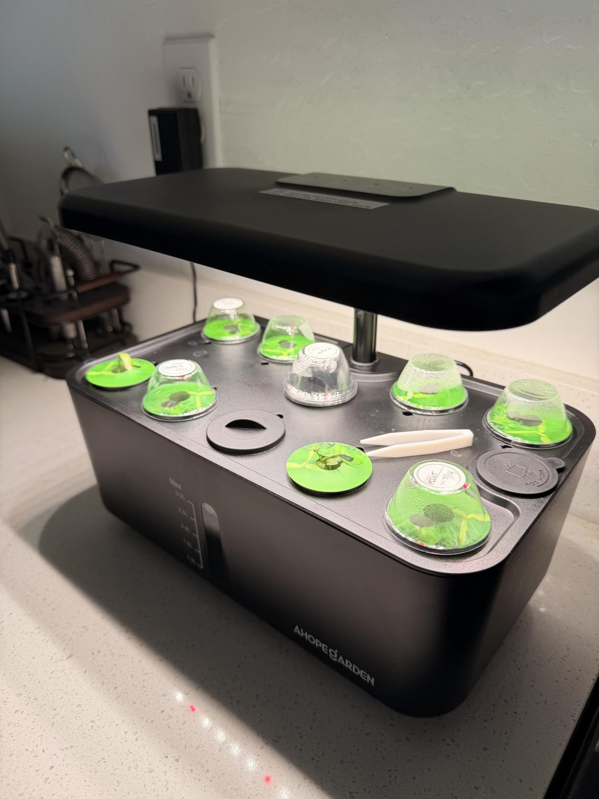 Ahopegarden Indoor Garden Hydroponics Growing System: 10 Pods Kit with LED customer photo 1