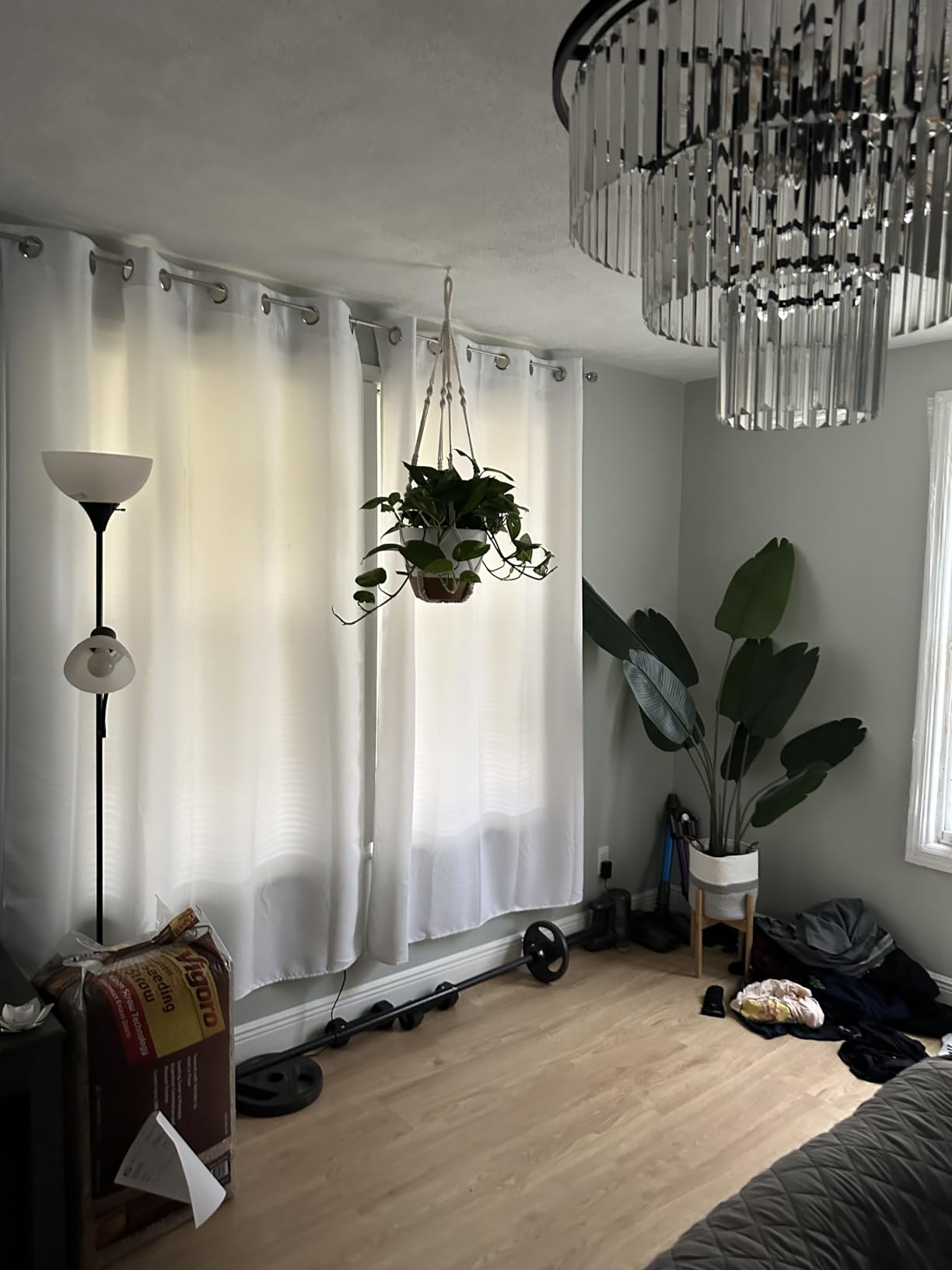 Bouqlife 3 Set Self Watering Hanging Planters for Indoor Plants customer photo 2