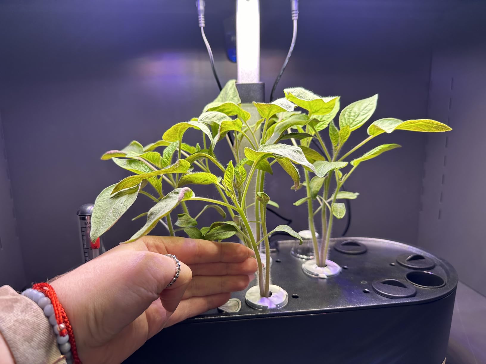 inbloom Hydroponics Growing System 12 Pods, Indoor Herb Garden with LEDs Full-Spectrum Plant Grow Light, Water Shortage Alarm, Automatic Timer, Height Adjustable, Ideal Gardening Gifts for Women customer photo 1