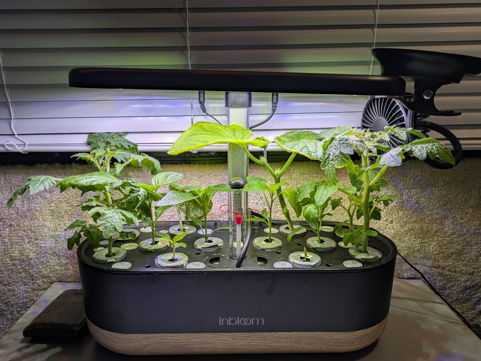 inbloom Hydroponics Growing System 12 Pods, Indoor Herb Garden with LEDs Full-Spectrum Plant Grow Light, Water Shortage Alarm, Automatic Timer, Height Adjustable, Ideal Gardening Gifts for Women customer photo 2