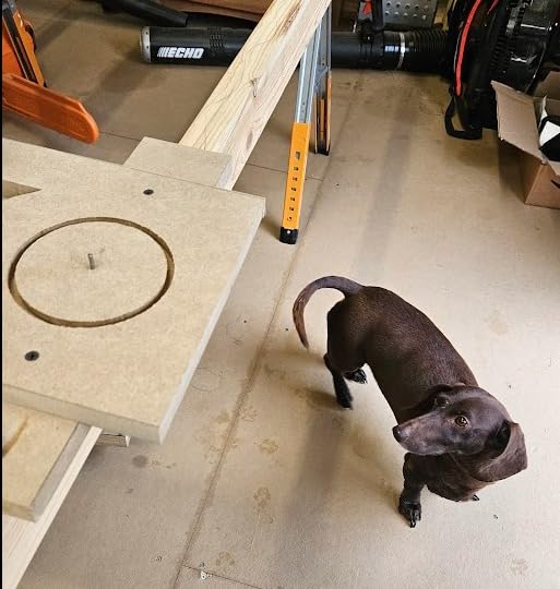 Jasper 290 Circle Jig - WOOD Magazine Grade A (ONLY Grade A) | 268 Circles 1½