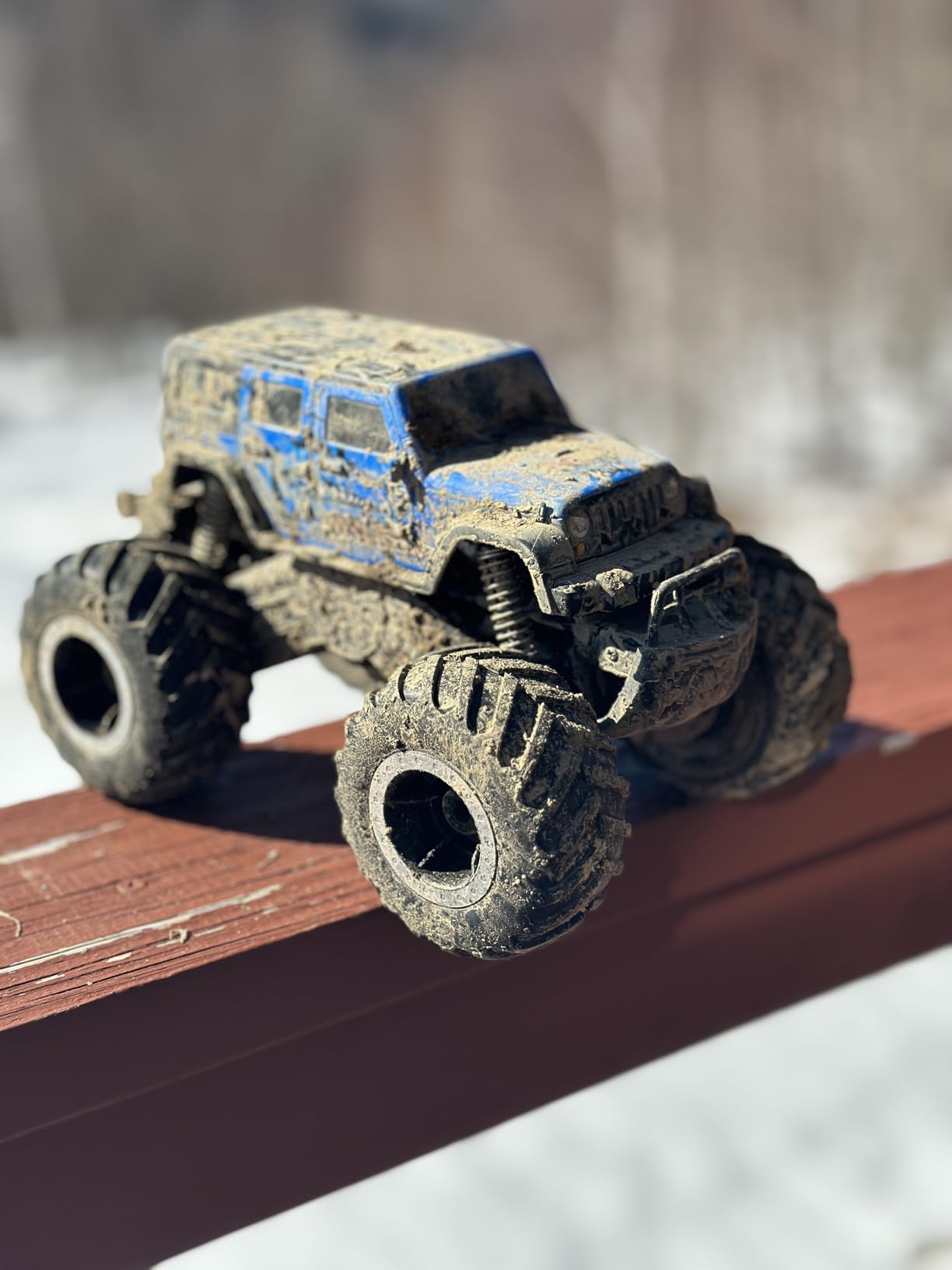Threeking 1:16 Amphibious Monster Truck All Terrain Remote Control Car Toys customer photo 1