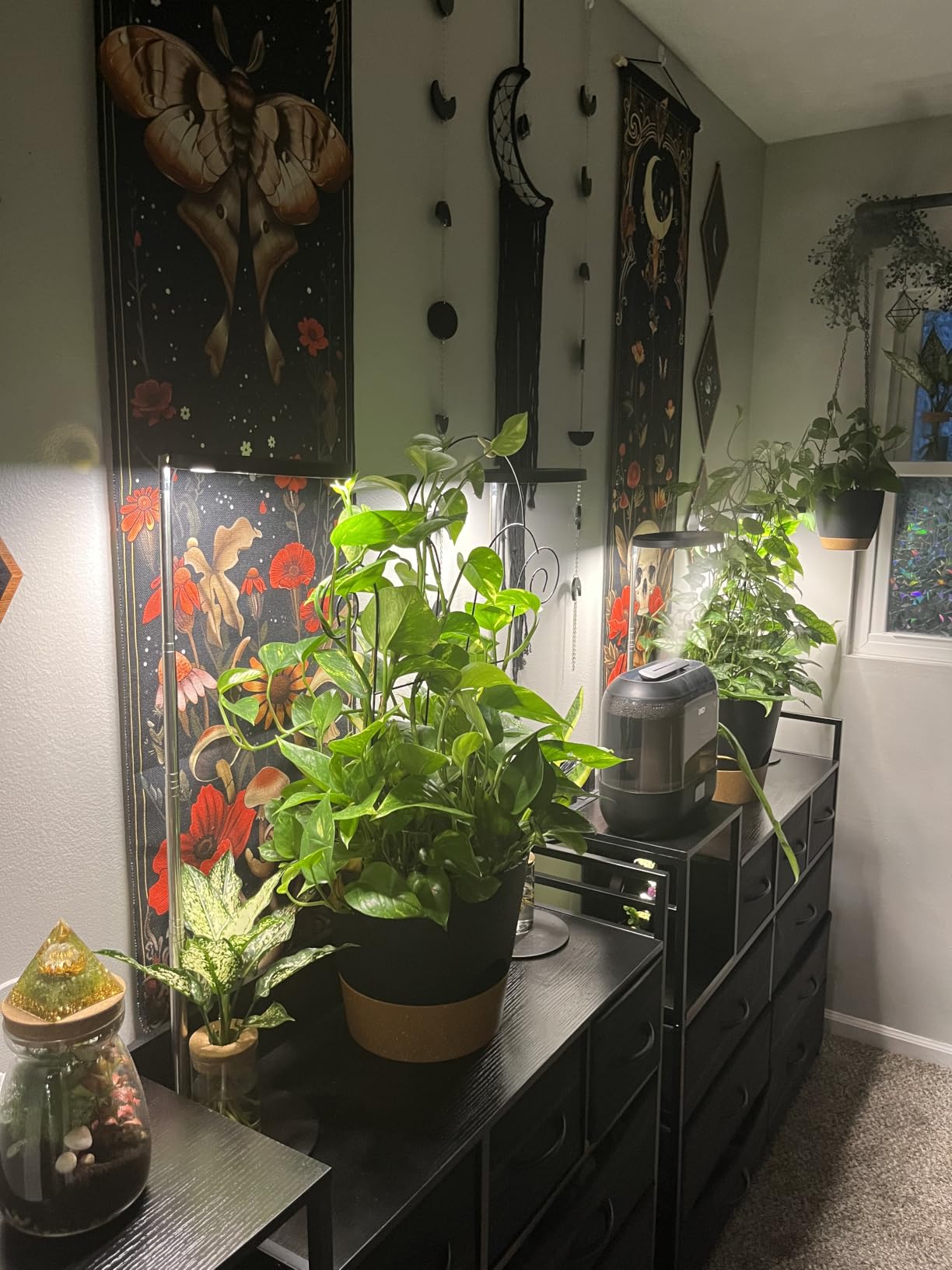 YNNICO Indoor Self Watering Planters with Drainage Holes and Saucers, 8, 7, 6.5, 6, 5.5, 5 Inches, Green, 6 Pots. customer photo 2
