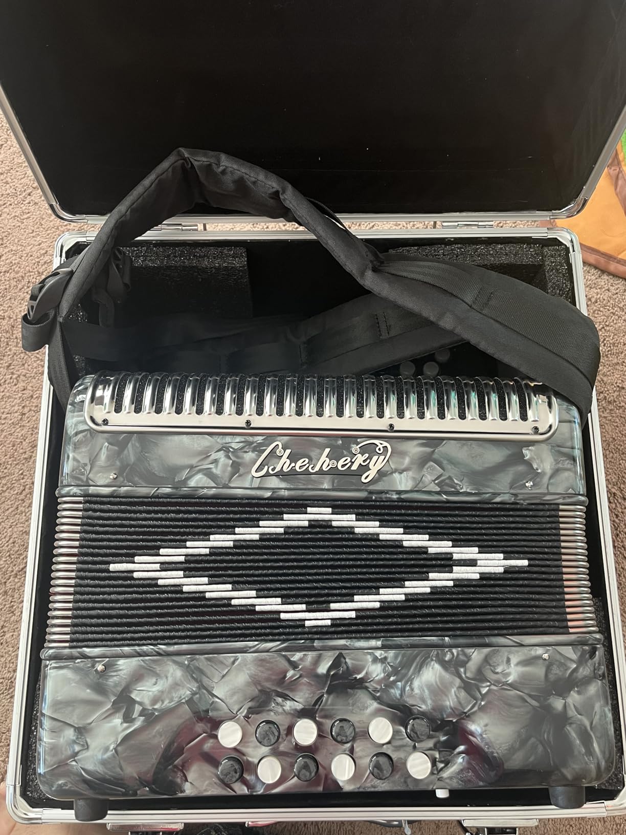 Accordion,31‑Key 12‑Bass Diatonic G/C/F Tuning Push‑Pull, Hard Case(Red) customer photo 1