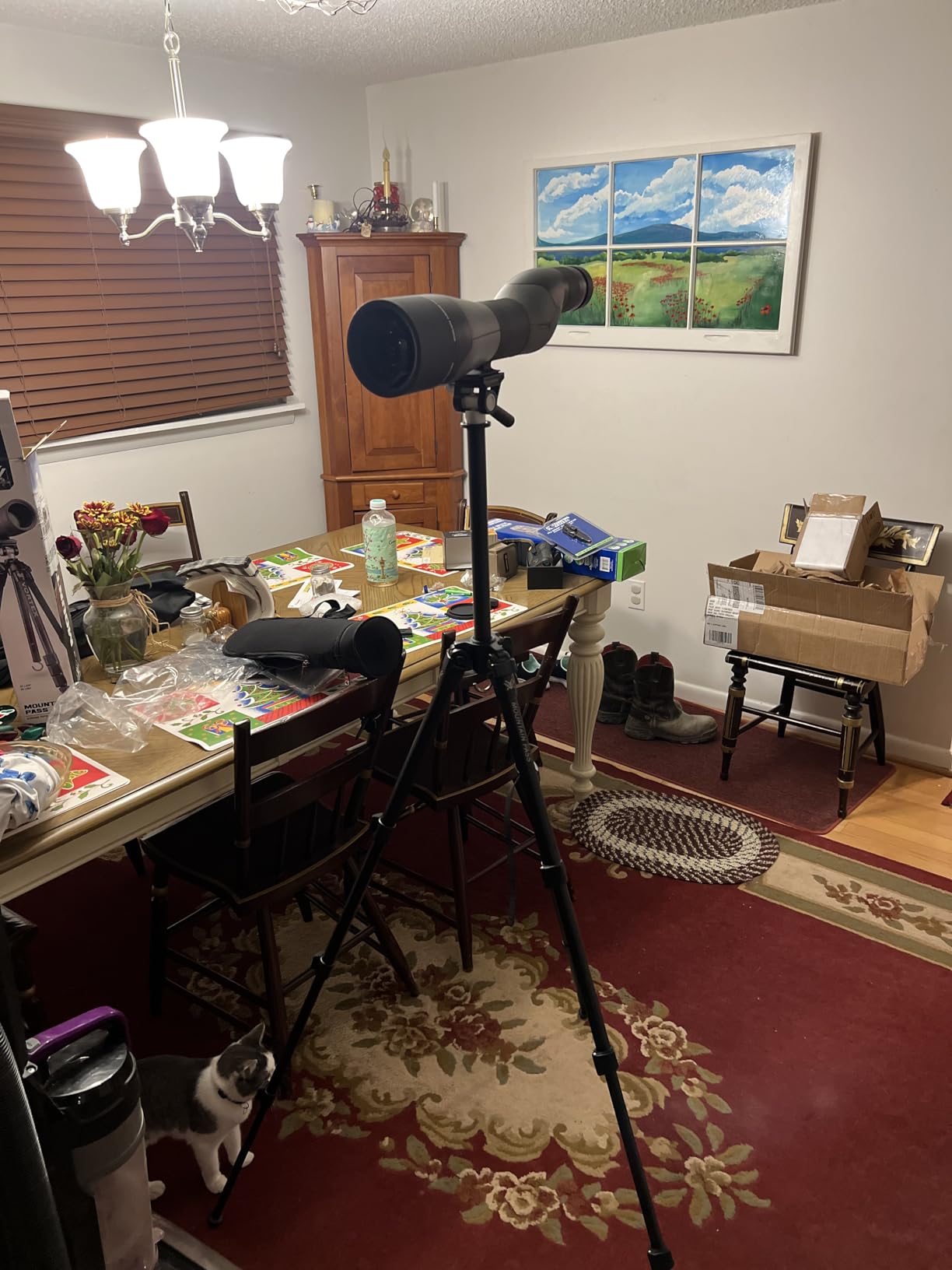 Vortex Mountain Pass Tripod Kit customer photo 1