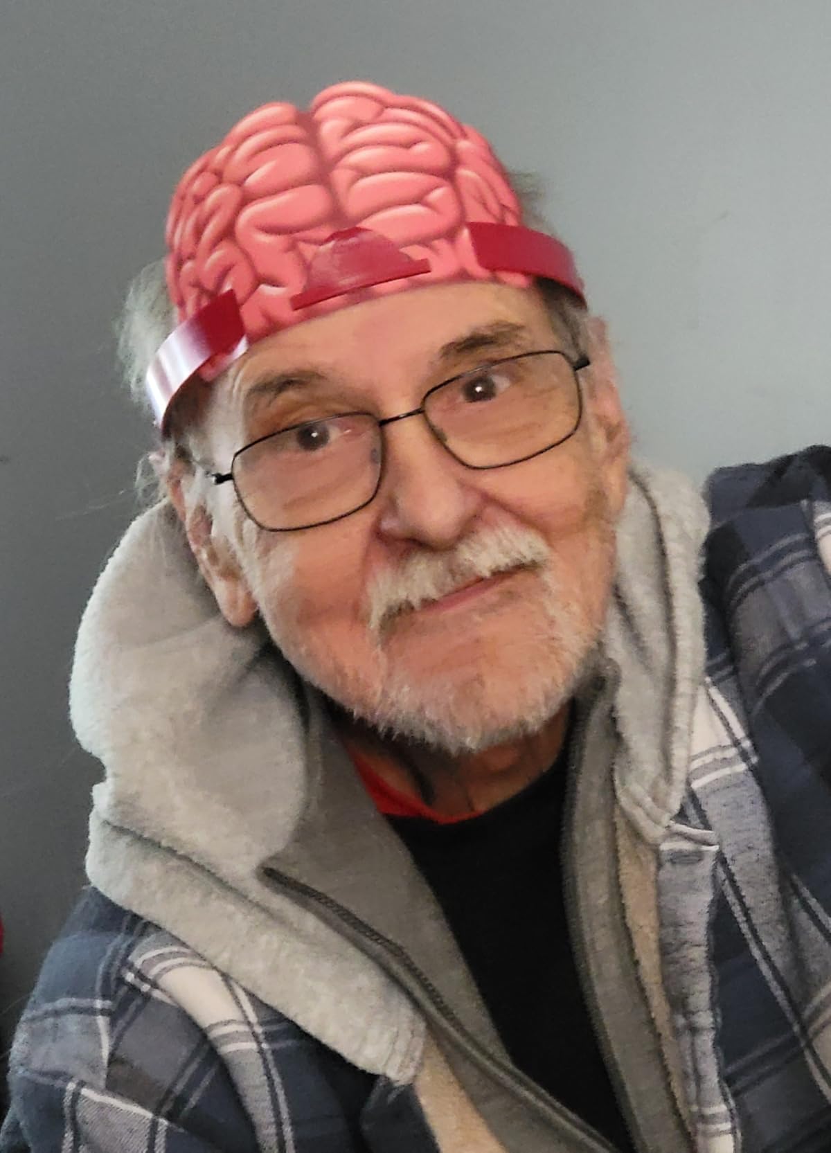 Spin Master Games Hedbanz Picture Guessing Game for Family Game Night customer photo 1