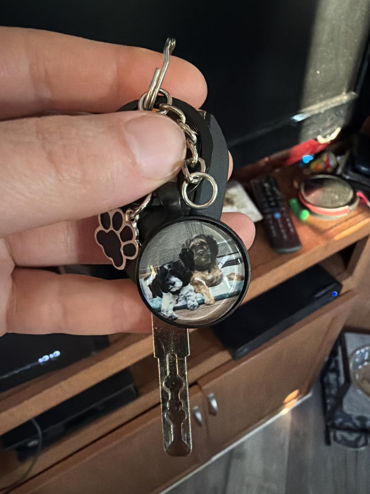 Custom Pet Photo Keychain Personalized Photo Pawprint Dog Tag Keychain Engraved Keyring Animal Pet Lover customer photo 1