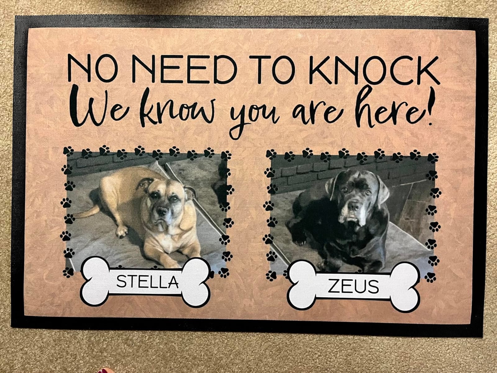Personalized Dog Door Mat, No Need to Knock Dog Doormat, Custom Door Mats | Add 2 Dog Photos & Names, Cute Welcome Mat, Outdoor/Indoor Door Mat | 20