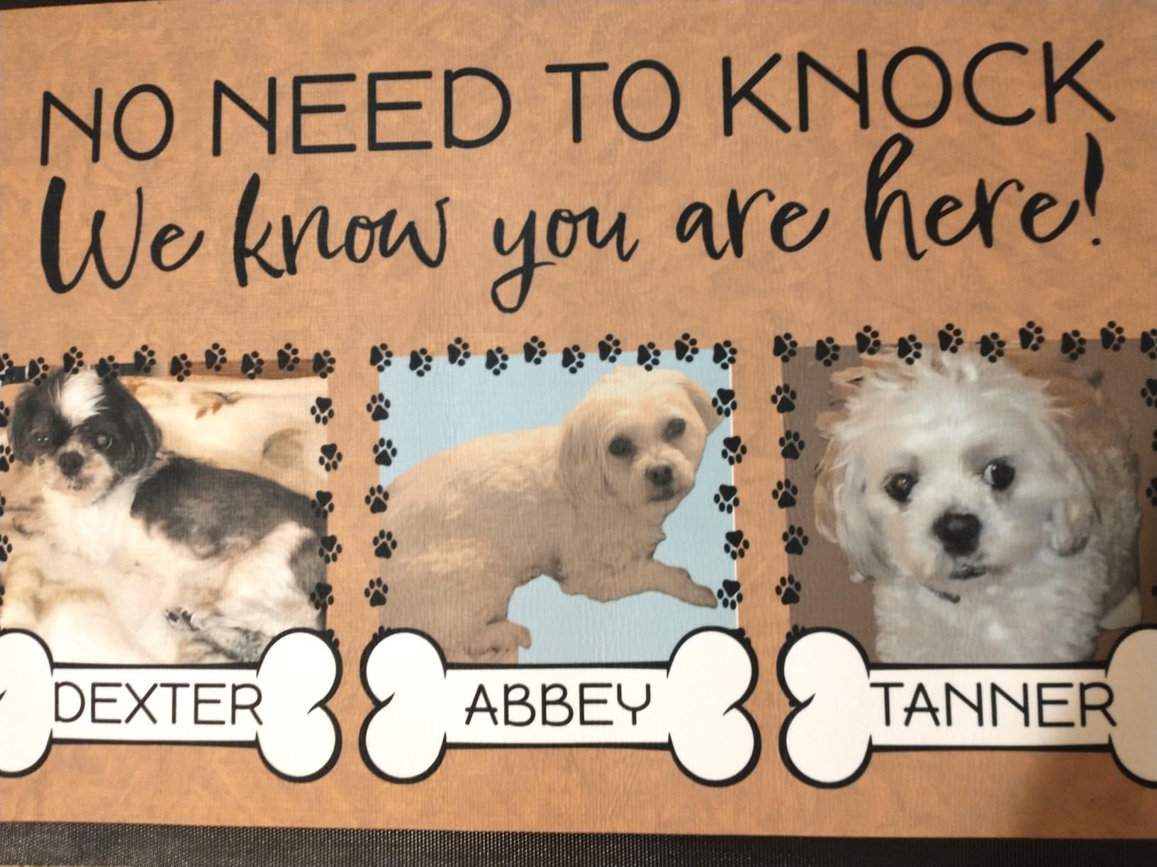Personalized Dog Door Mat, No Need To Knock Dog Doormat, Custom Door Mats | Add 3 Dog Photos & Names, Anti-Slip Rubberized Back, Cute Welcome Mat, Outdoor/Indoor Door Mat | 20