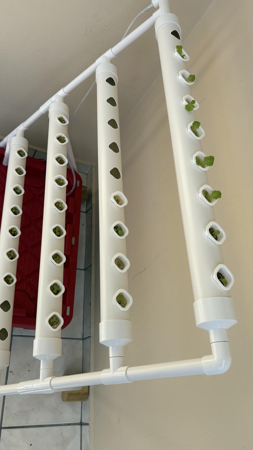 3-Tier 108 Plant Sites Hydroponics Growing System Kit customer photo 2