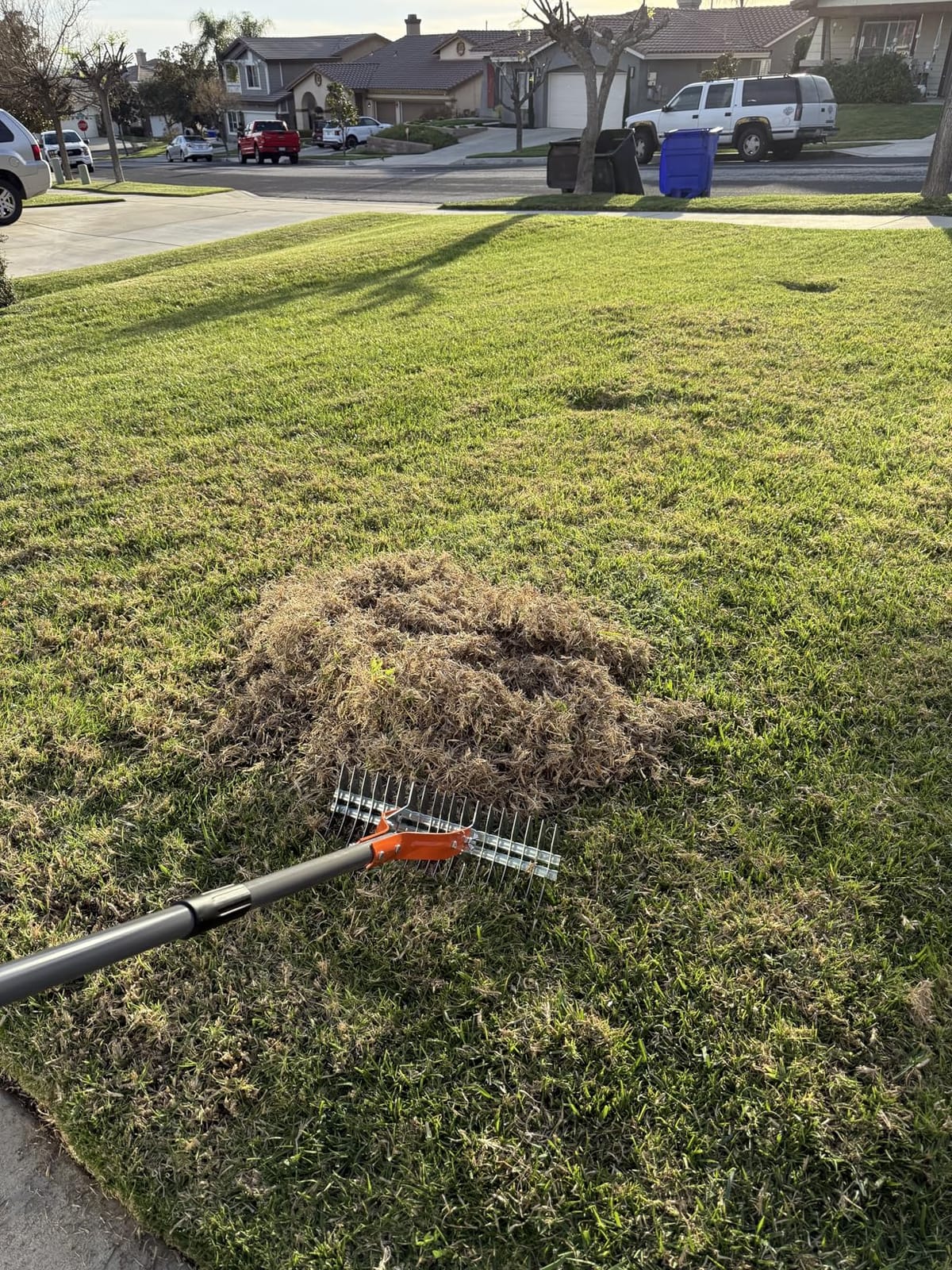 Walensee 15-Inch Thatch Rake for Lawn, 19-Tine Dethatcher, 70-Inch Handle customer photo 1