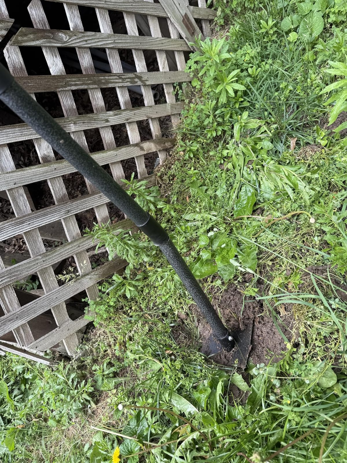 Garden Hoe, Heavy Duty Trenching Hoes with 60 Inch Long Handle, Sharp Edge Triangle Weeding Hoe Garden Tools for Weeds Removal,Cultivating,Digging,Loosen Soil, Trenching, Landscaping Manual Weeder customer photo 2