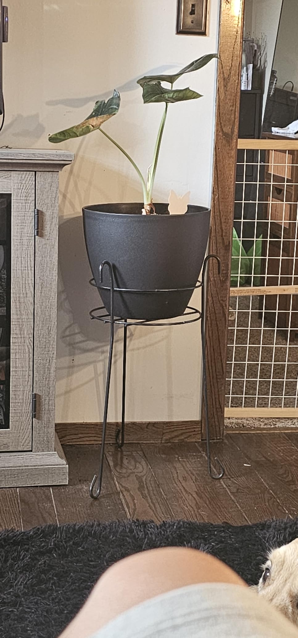 YNNICO 12 inch Large Self Watering Plant Pots, Flower Pots Planters with Multi Mesh Drainage Holes for Indoor Outdoor Garden Plants and Flowers customer photo 2