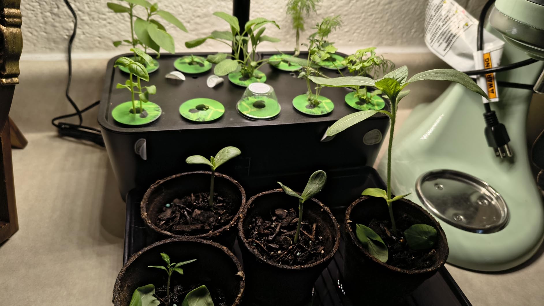 Ahopegarden Indoor Garden Hydroponics Growing System: 10 Pods Kit with LED customer photo 2