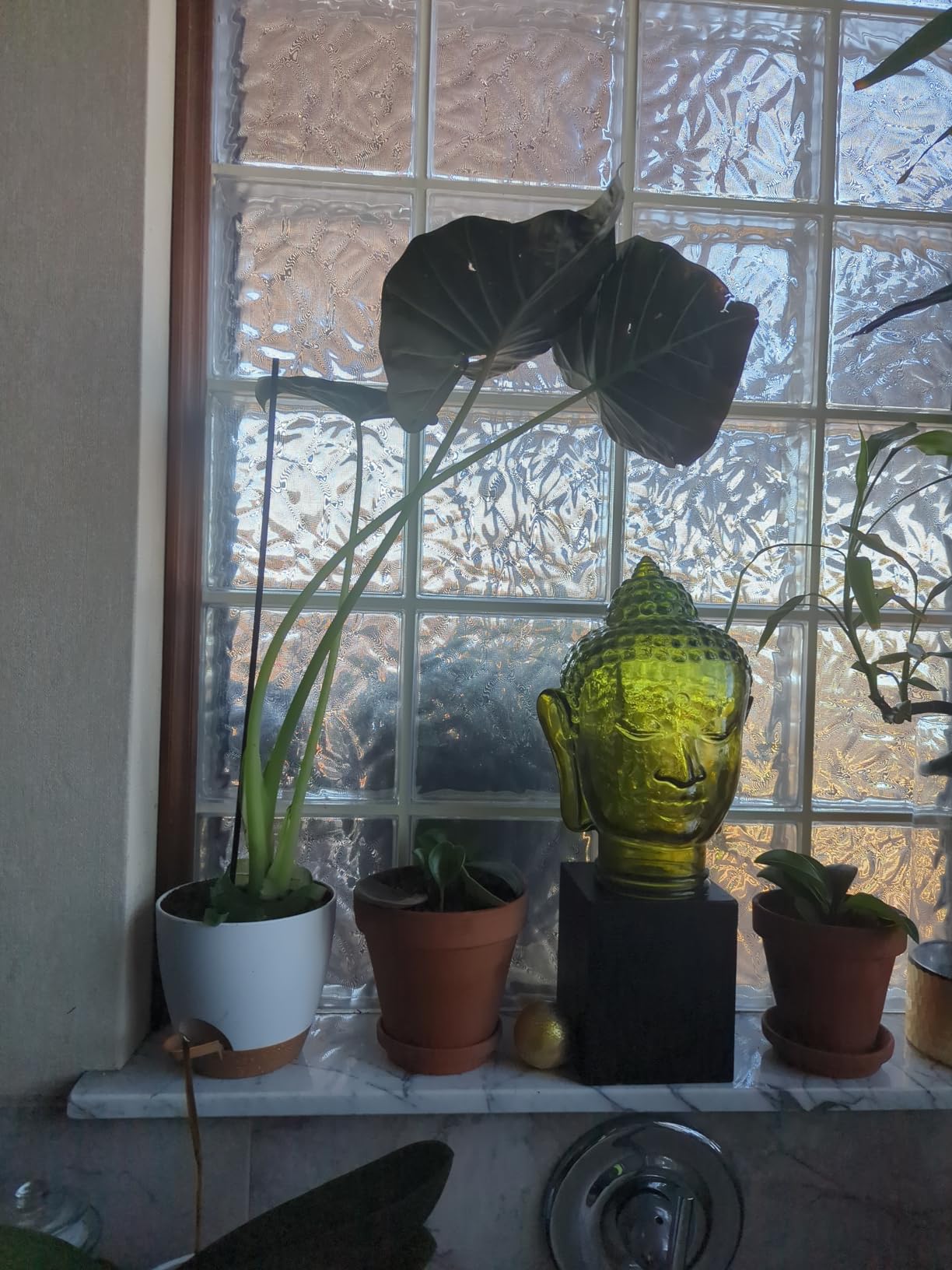 Indoor Plant Pots for Lazy People, 5Pack White Plastic Self Watering Planter Pots for Houseplants,Succulent, African Violets,Snake Plants, Flowers and Cactus(7/6.5/6/5.5/5 Inch) customer photo 1