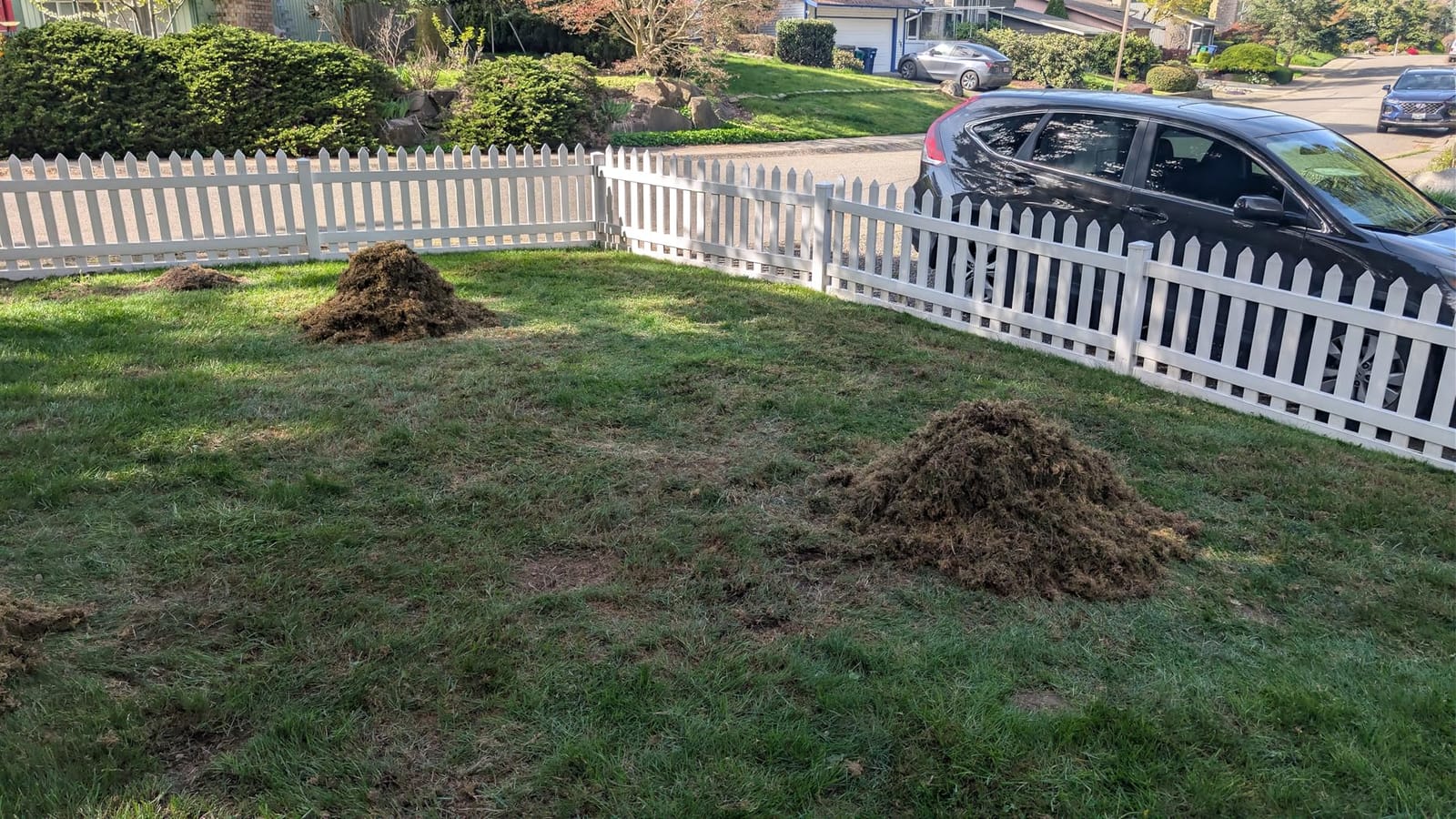 BARAYSTUS Thatch Rake, 15‑Inch Wide Dual‑Side Dethatching Rake for Lawn customer photo 1