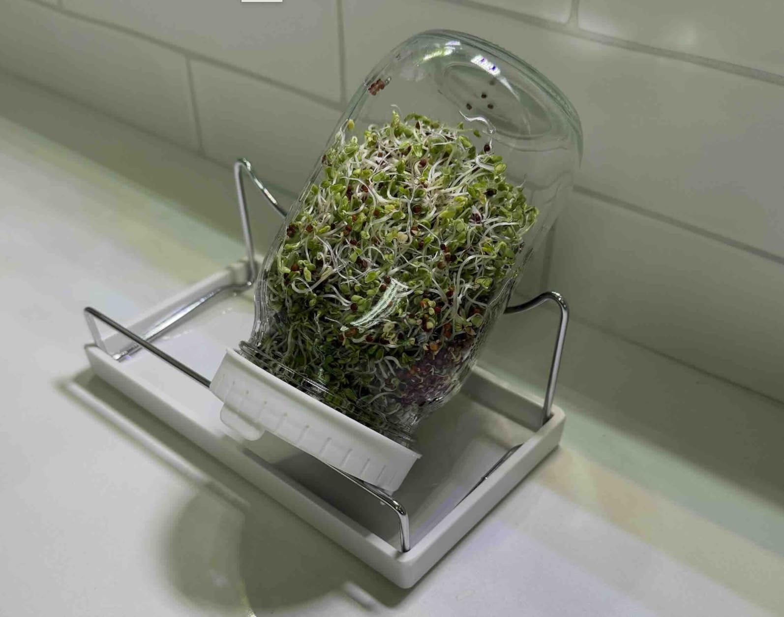 Sprouting Jar Kit - 2 Wide-Mouth Mason Jars with Stand and Sprout Lids customer photo 2